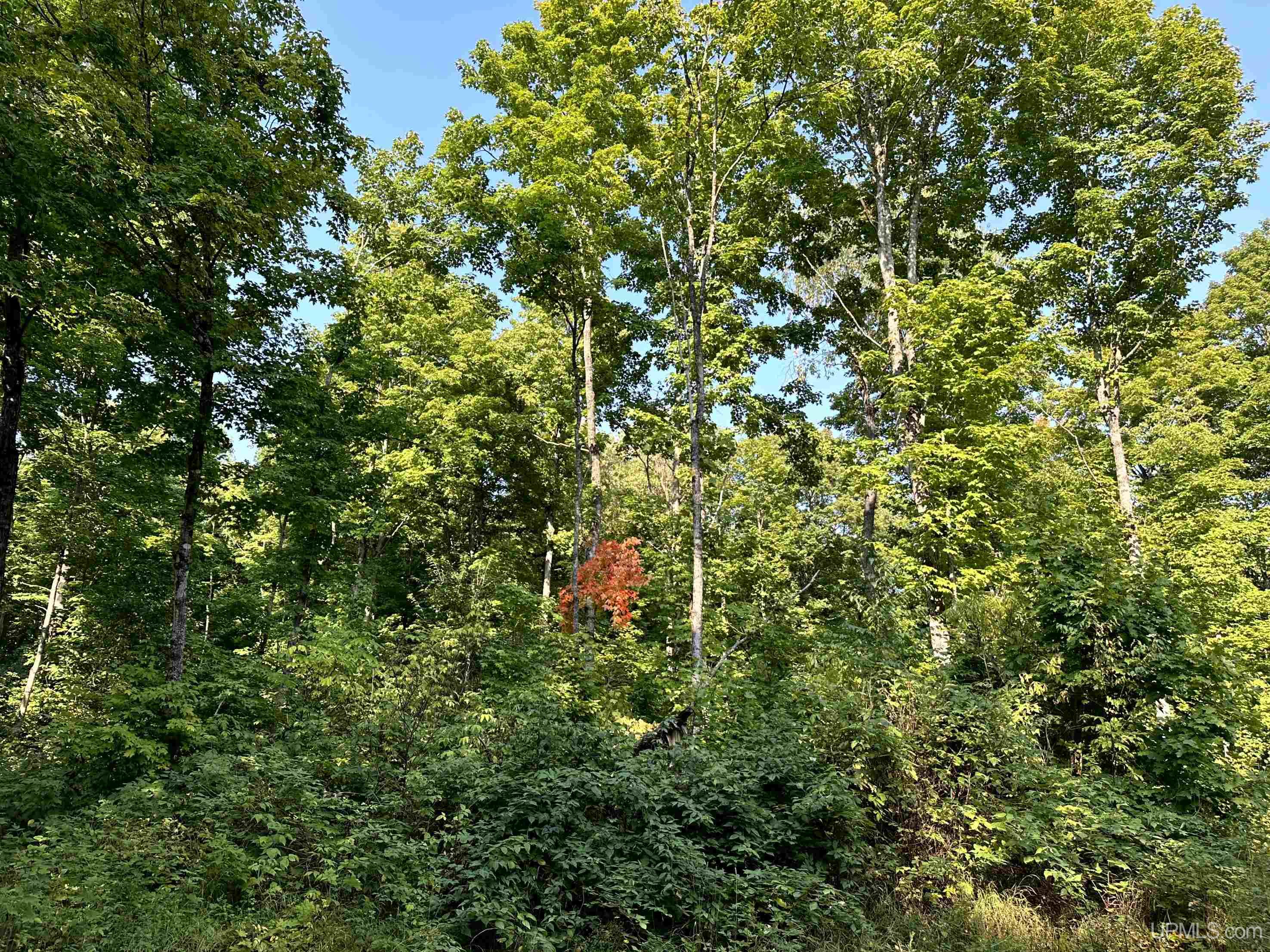 0000 H-58 Highway Property Photo 22