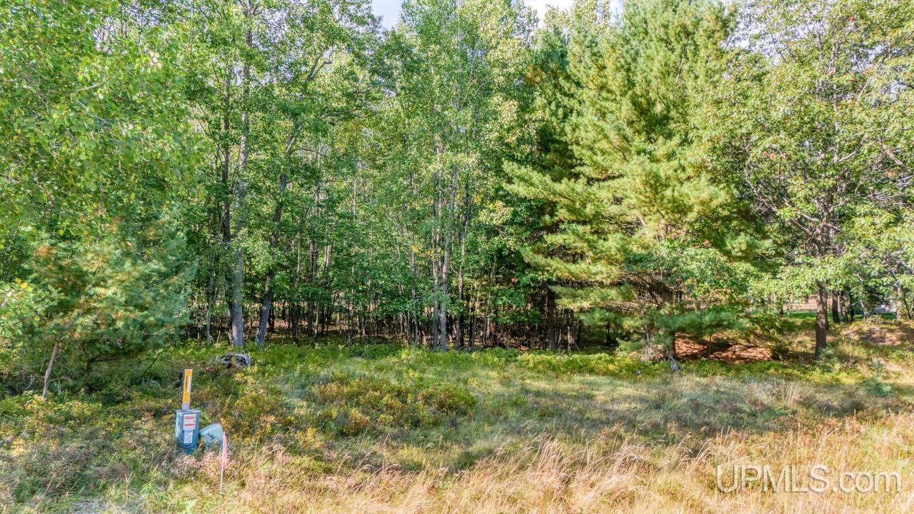 Lot 3 Irish Oaks Estates Tipperary Road Property Photo 5
