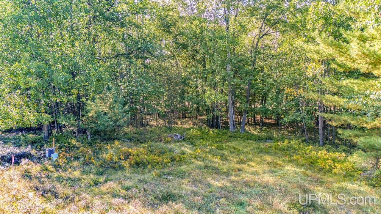 Lot 3 Irish Oaks Estates Tipperary Road Property Photo 6