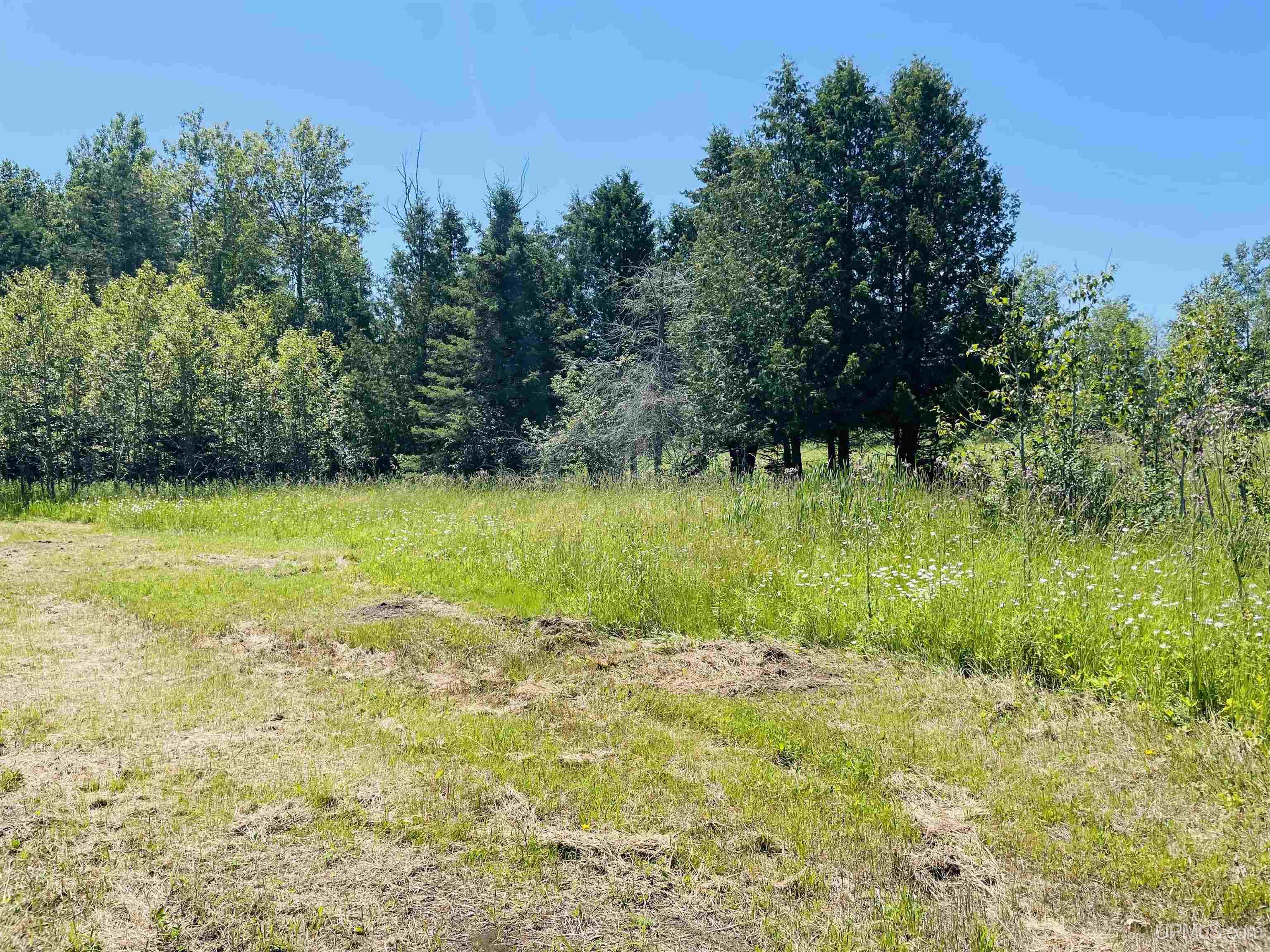 Lot 3 Irish Oaks Estates Tipperary Road Property Photo 9