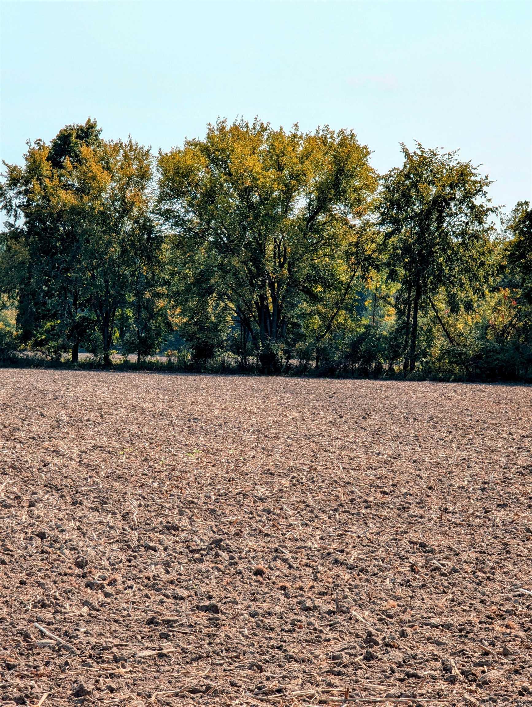 31 Mile Road Property Photo 1