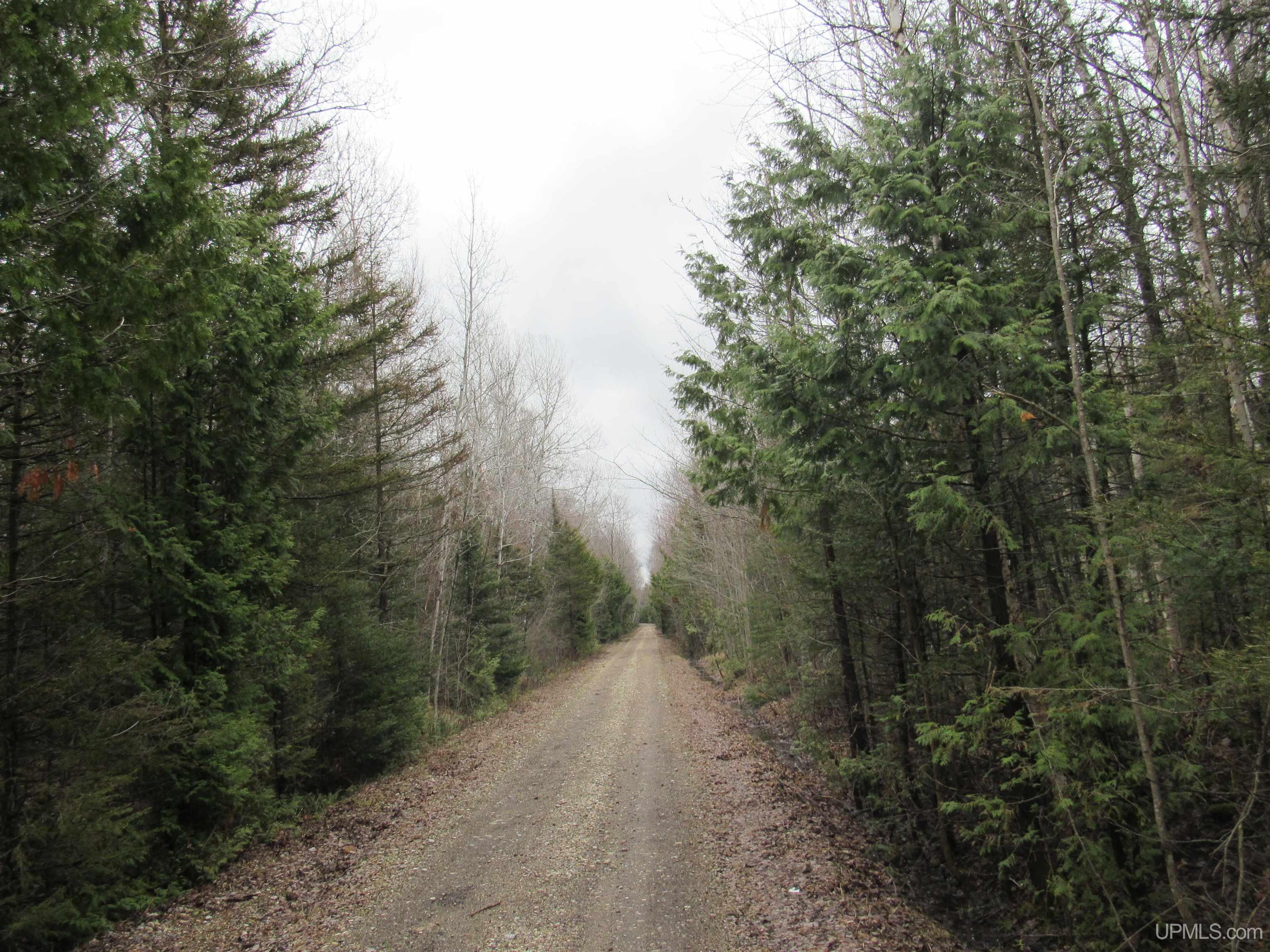 Tbd Deerton-sand Lake Road Property Photo 1