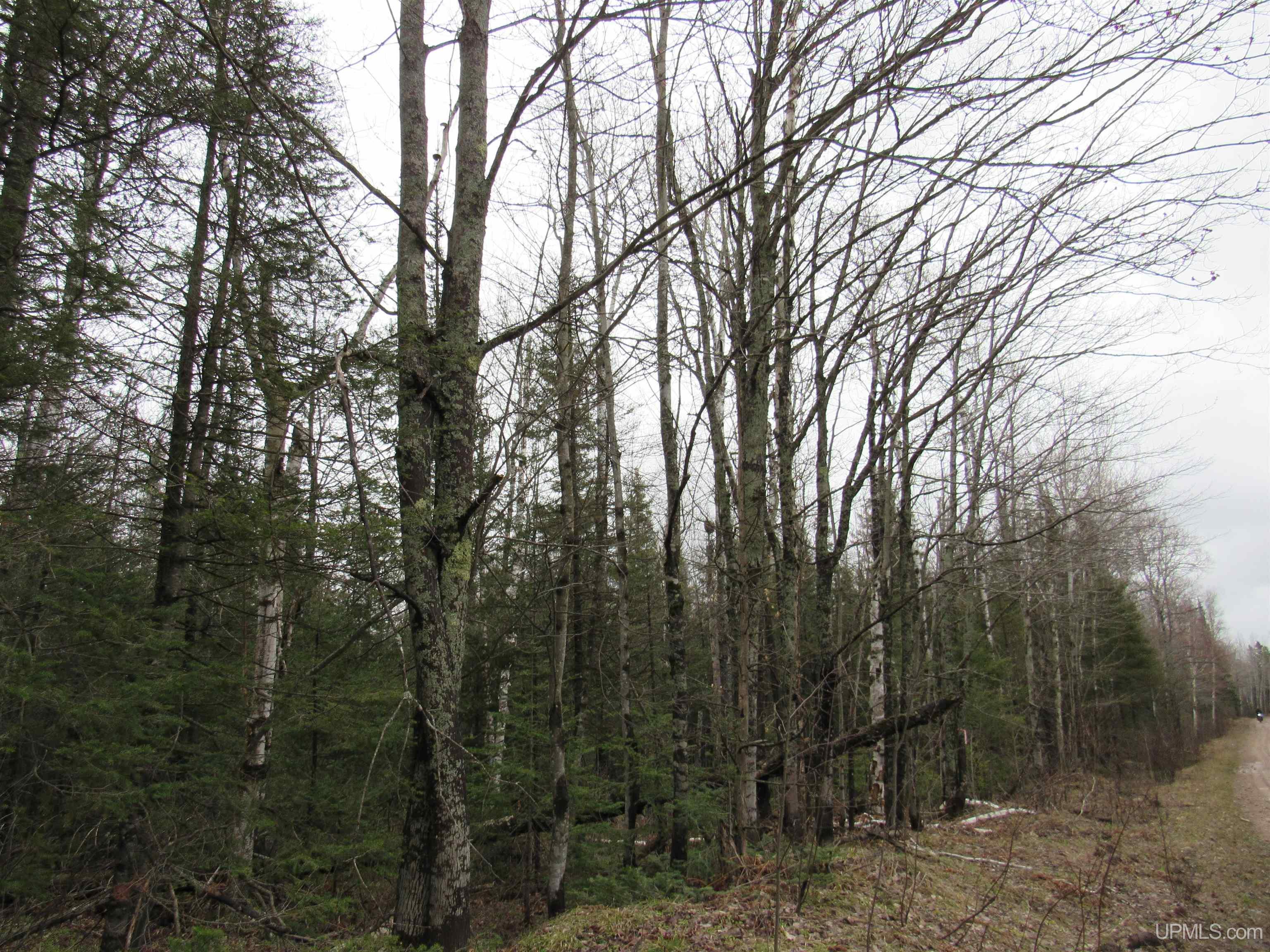 Tbd Deerton-sand Lake Road Property Photo 2