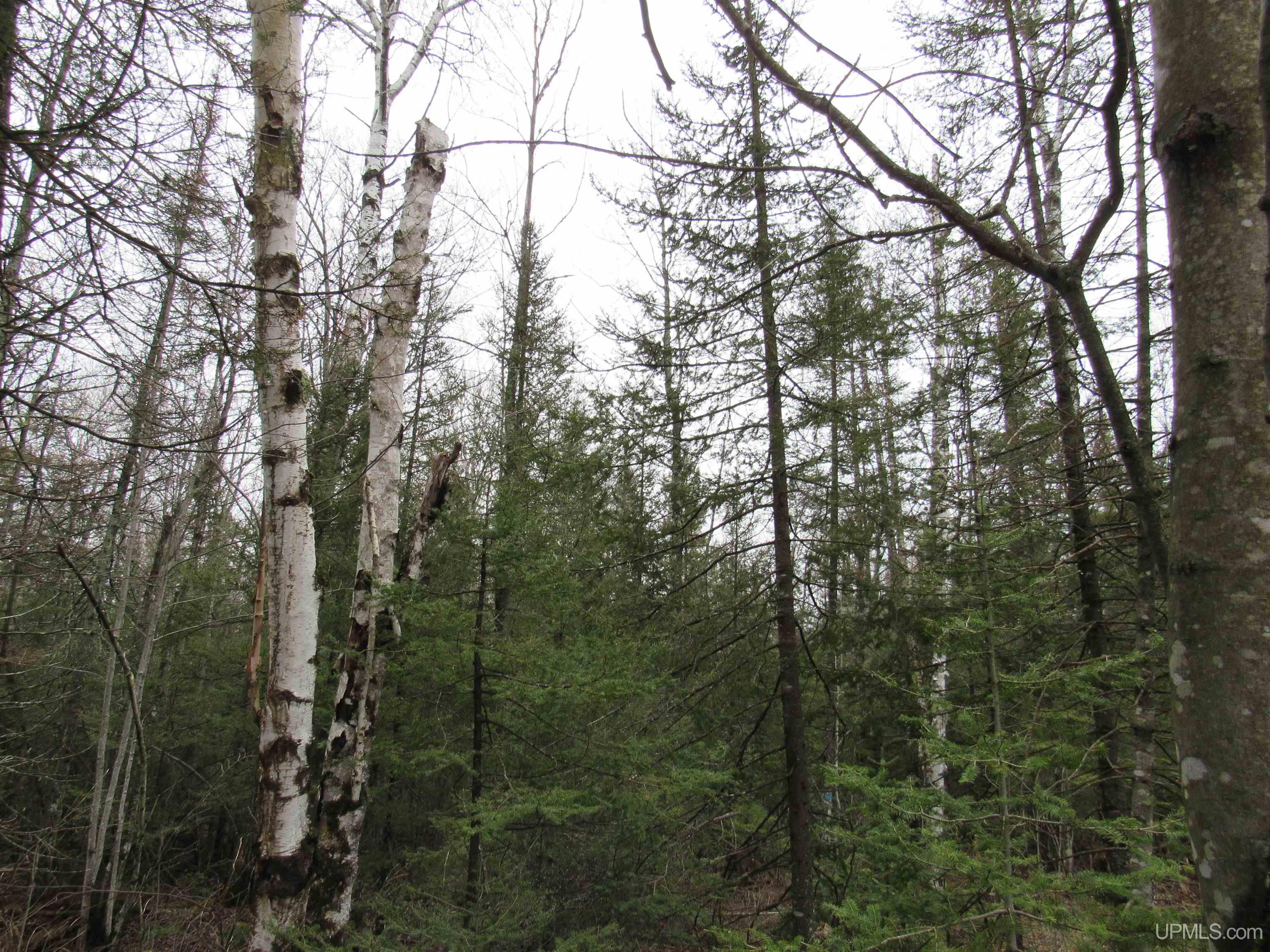 Tbd Deerton-sand Lake Road Property Photo 3
