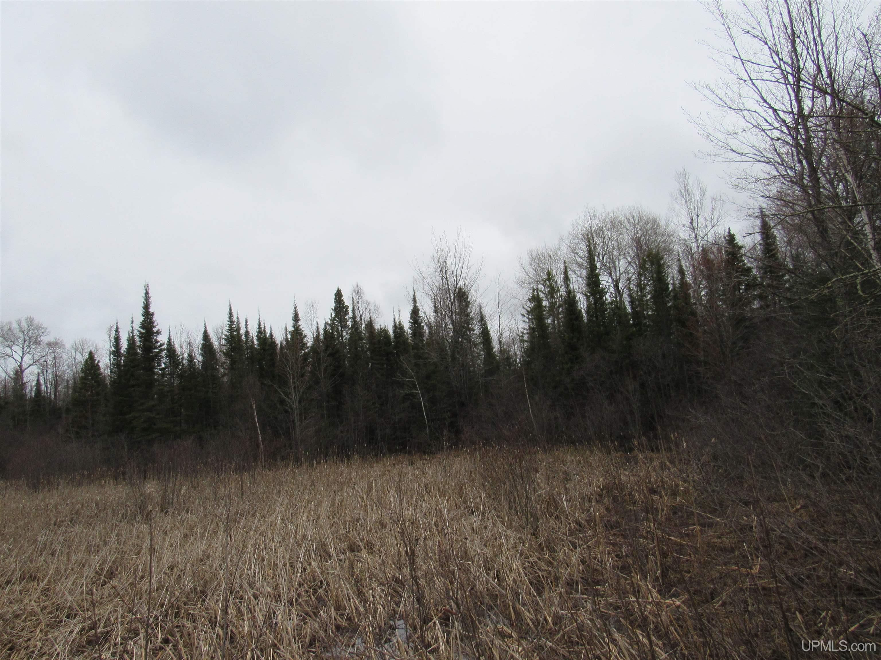 Tbd Deerton-sand Lake Road Property Photo 4