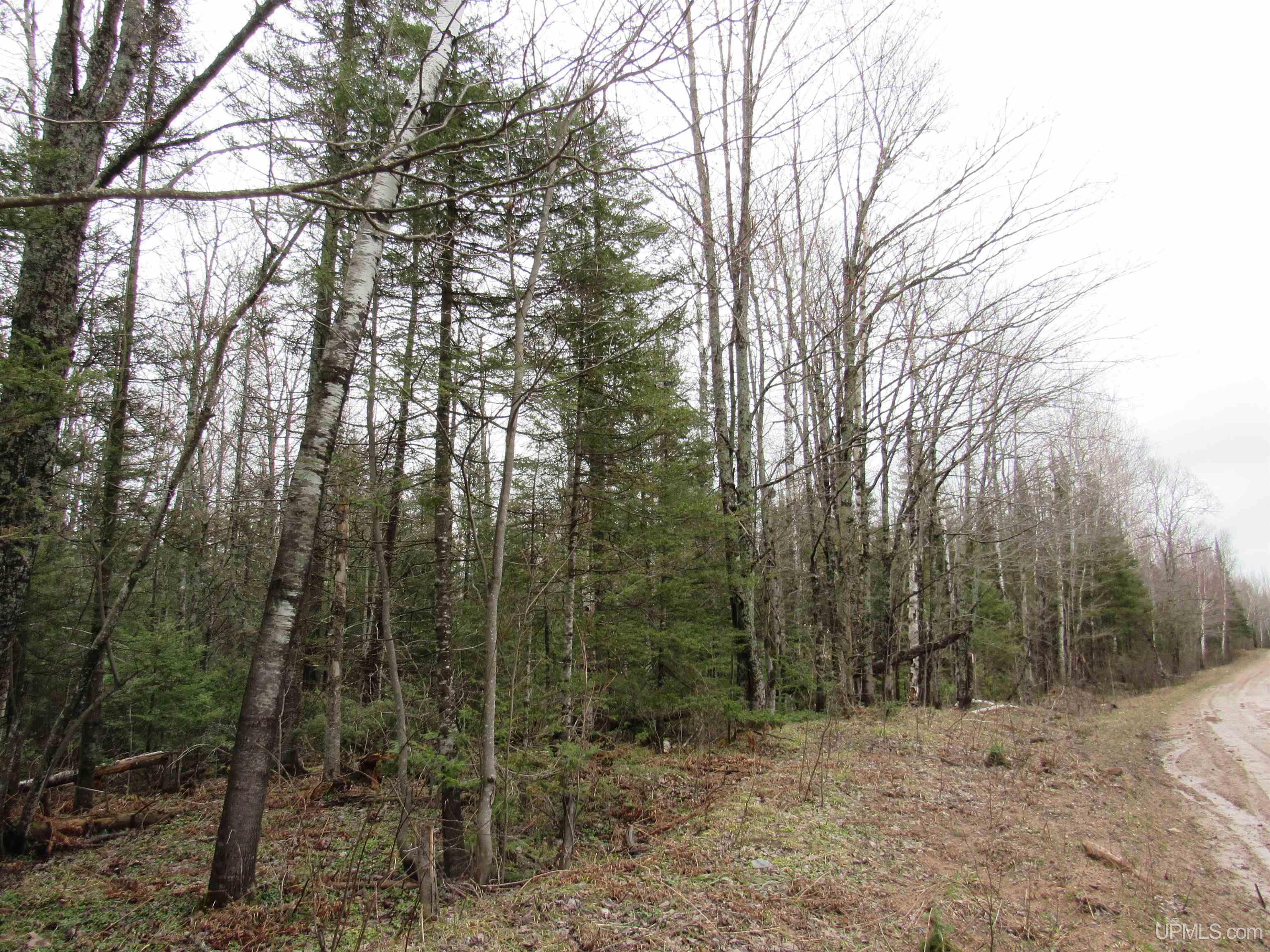 Tbd Deerton-sand Lake Road Property Photo 5