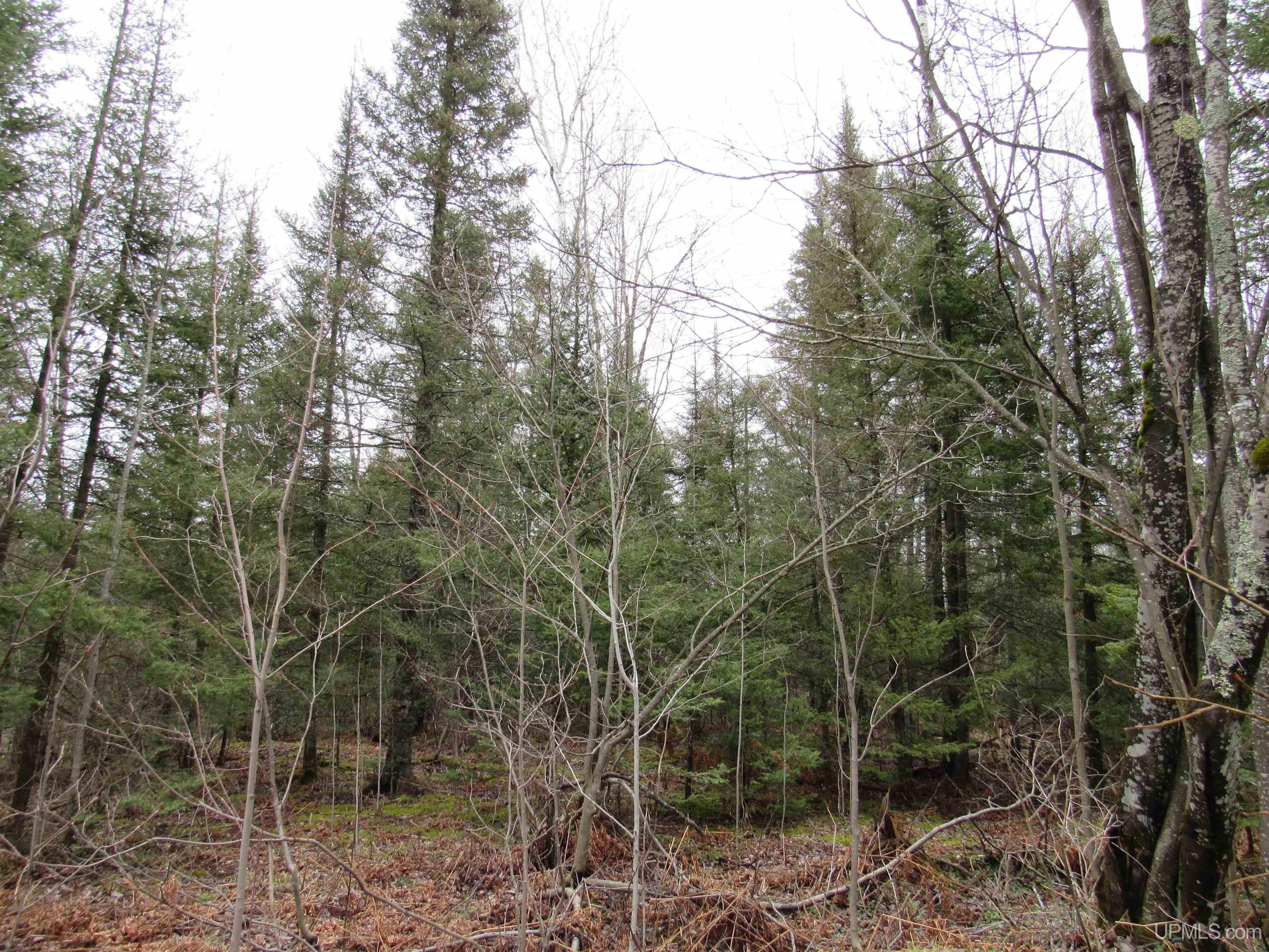 Tbd Deerton-sand Lake Road Property Photo 9