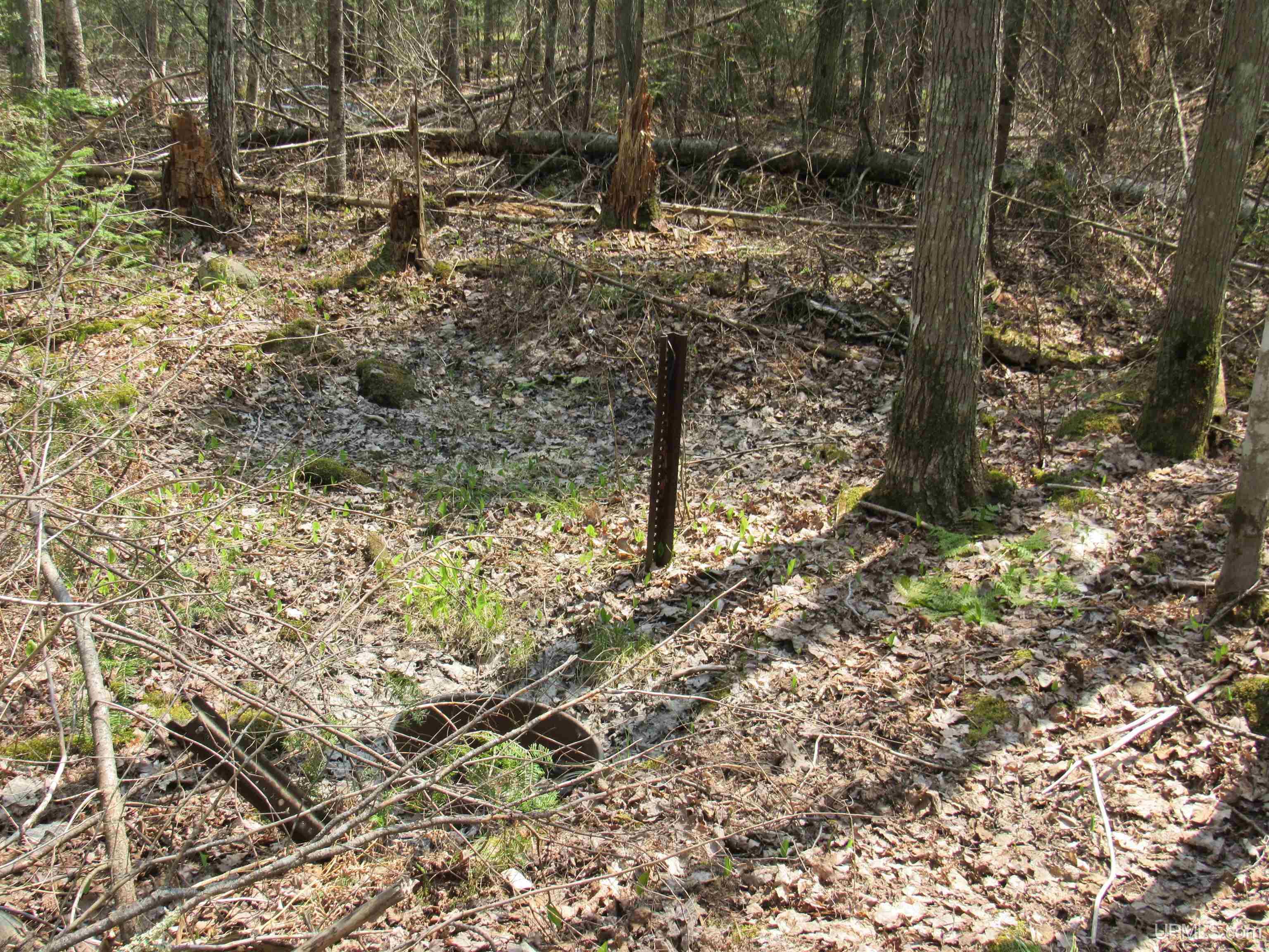 Tbd Deerton-sand Lake Road Property Photo 11