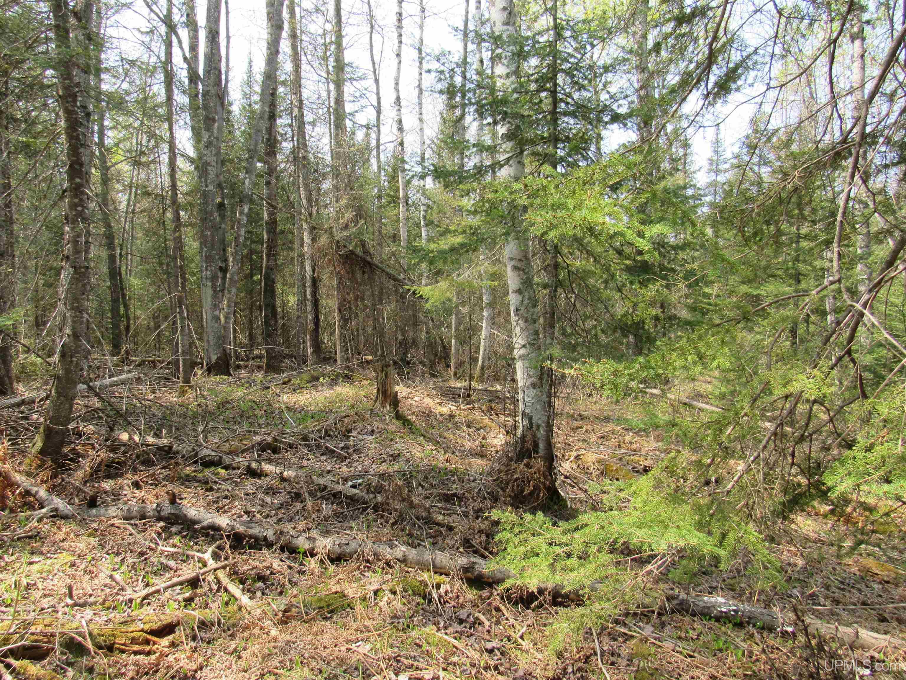 Tbd Deerton-sand Lake Road Property Photo 13