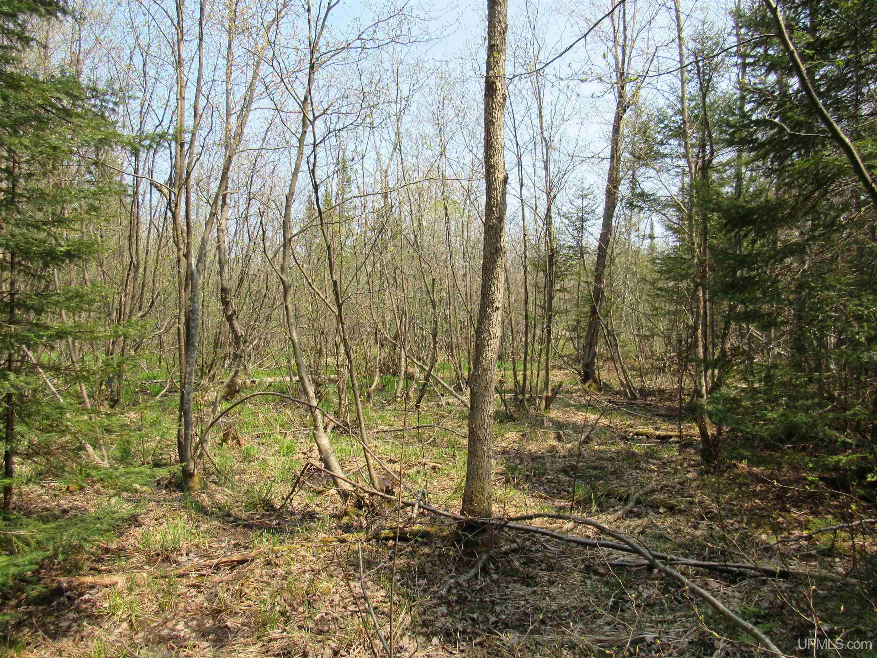 Tbd Deerton-sand Lake Road Property Photo 14
