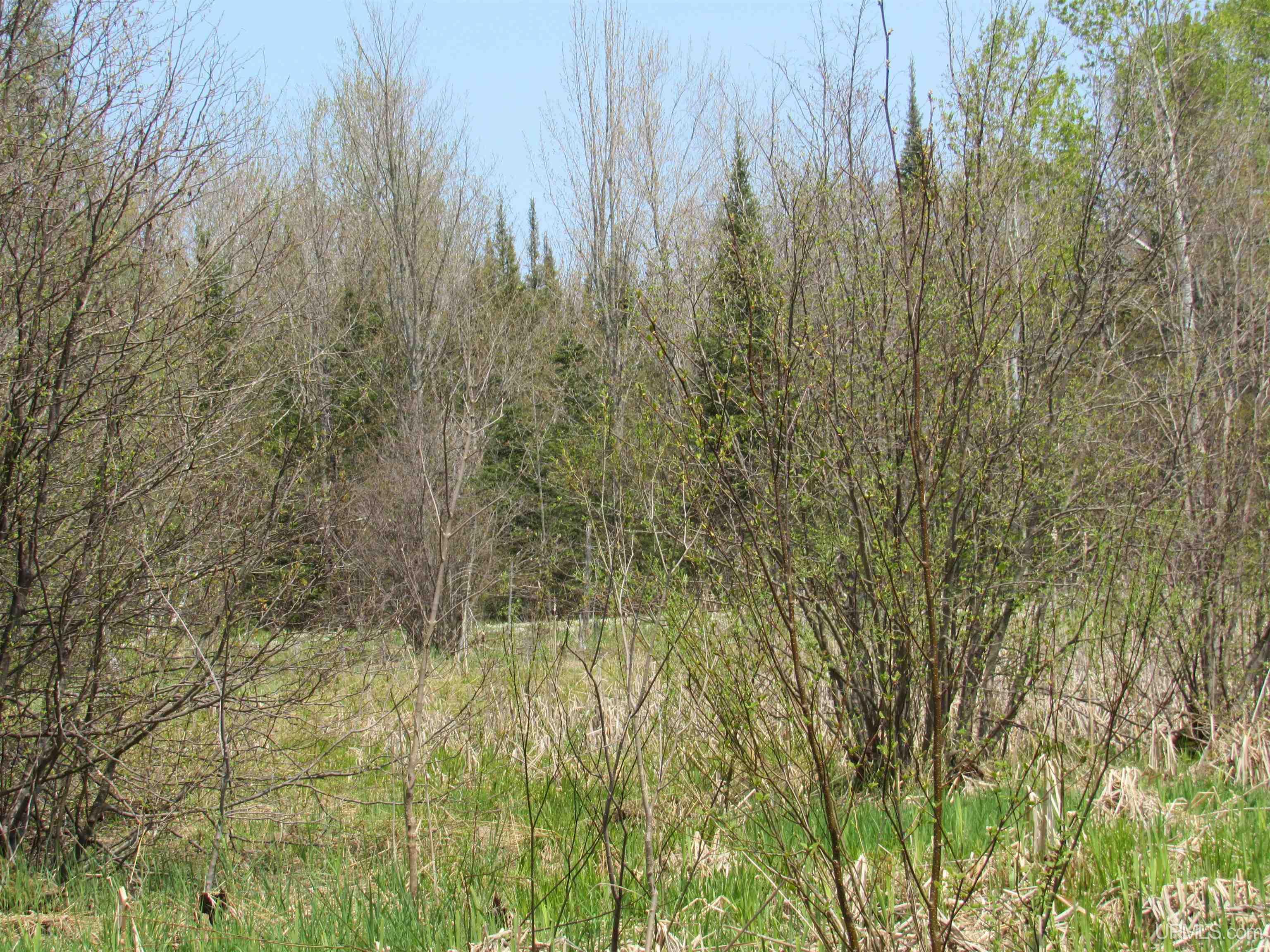 Tbd Deerton-sand Lake Road Property Photo 15