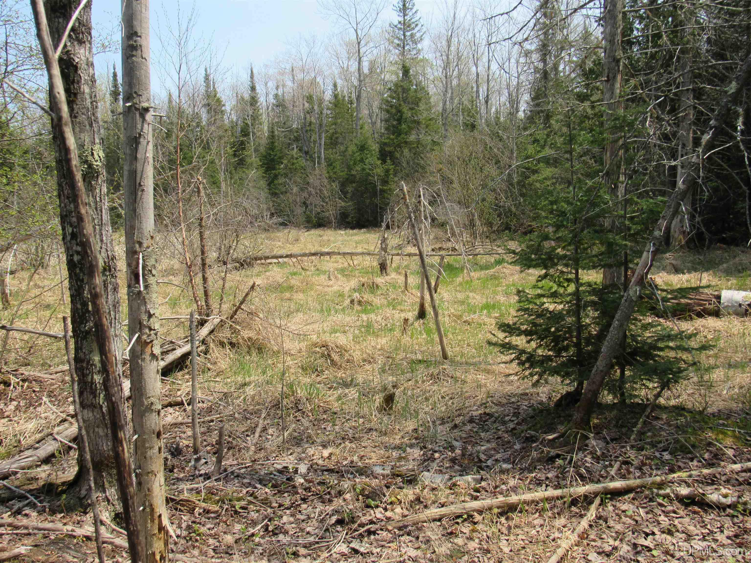 Tbd Deerton-sand Lake Road Property Photo 16
