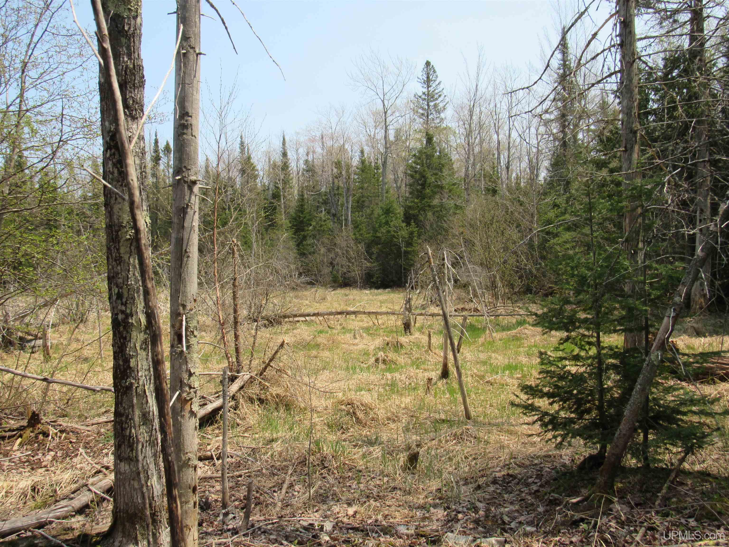 Tbd Deerton-sand Lake Road Property Photo 17