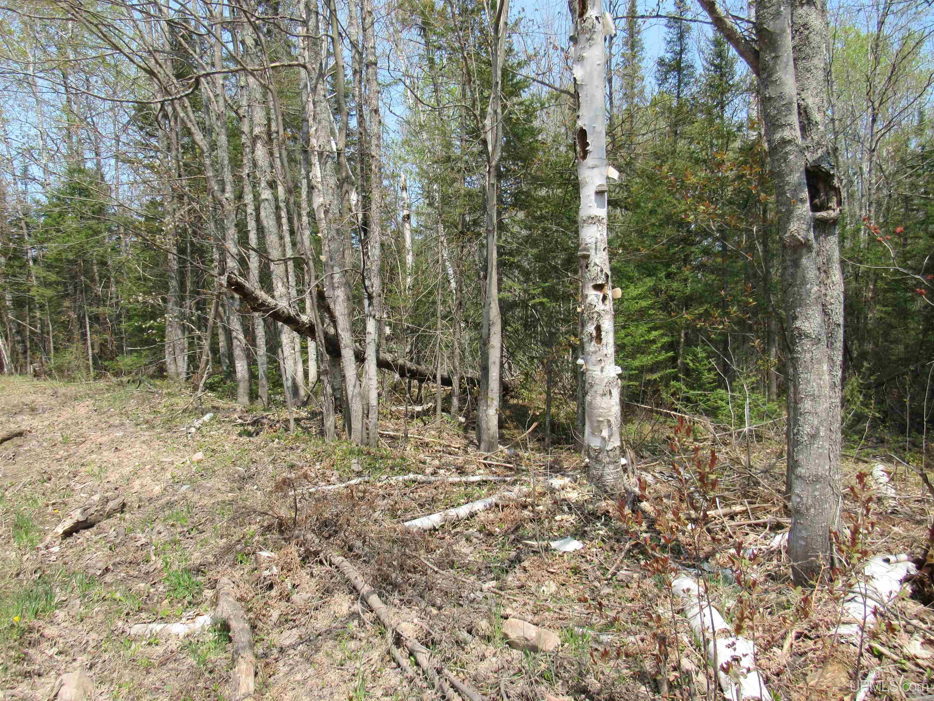 Tbd Deerton-sand Lake Road Property Photo 18