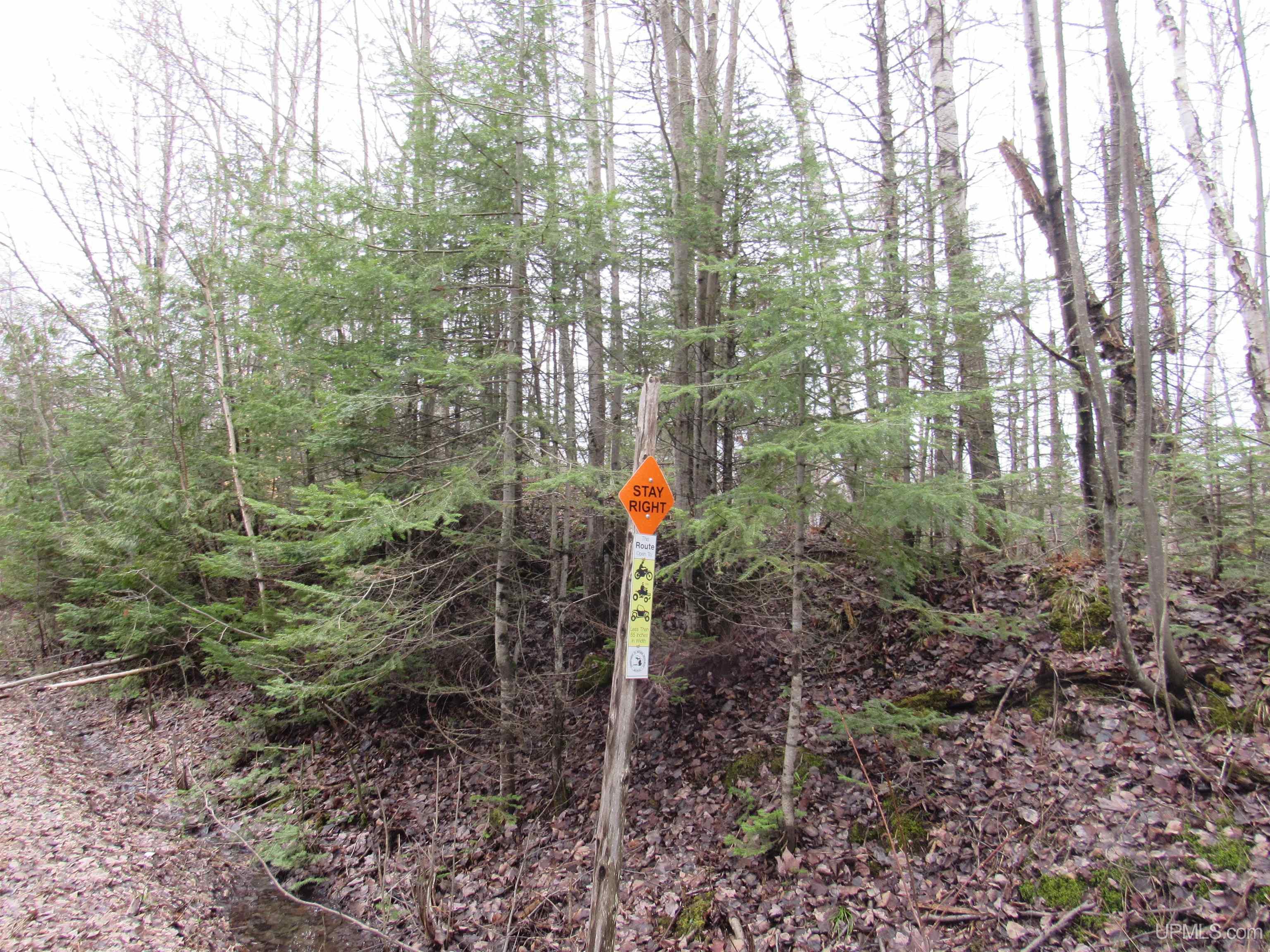 Tbd Deerton-sand Lake Road Property Photo 19