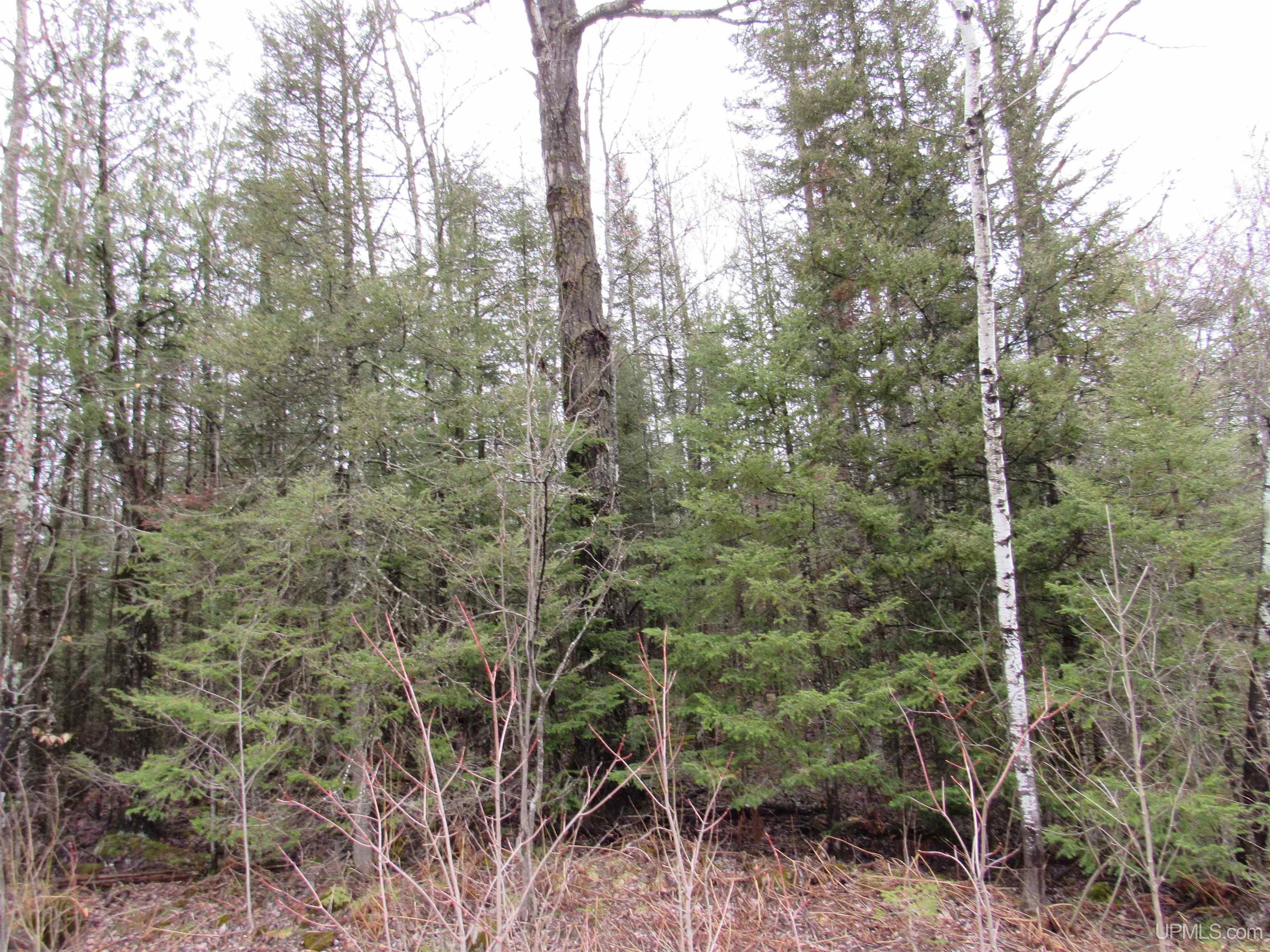 Tbd Deerton-sand Lake Road Property Photo 20