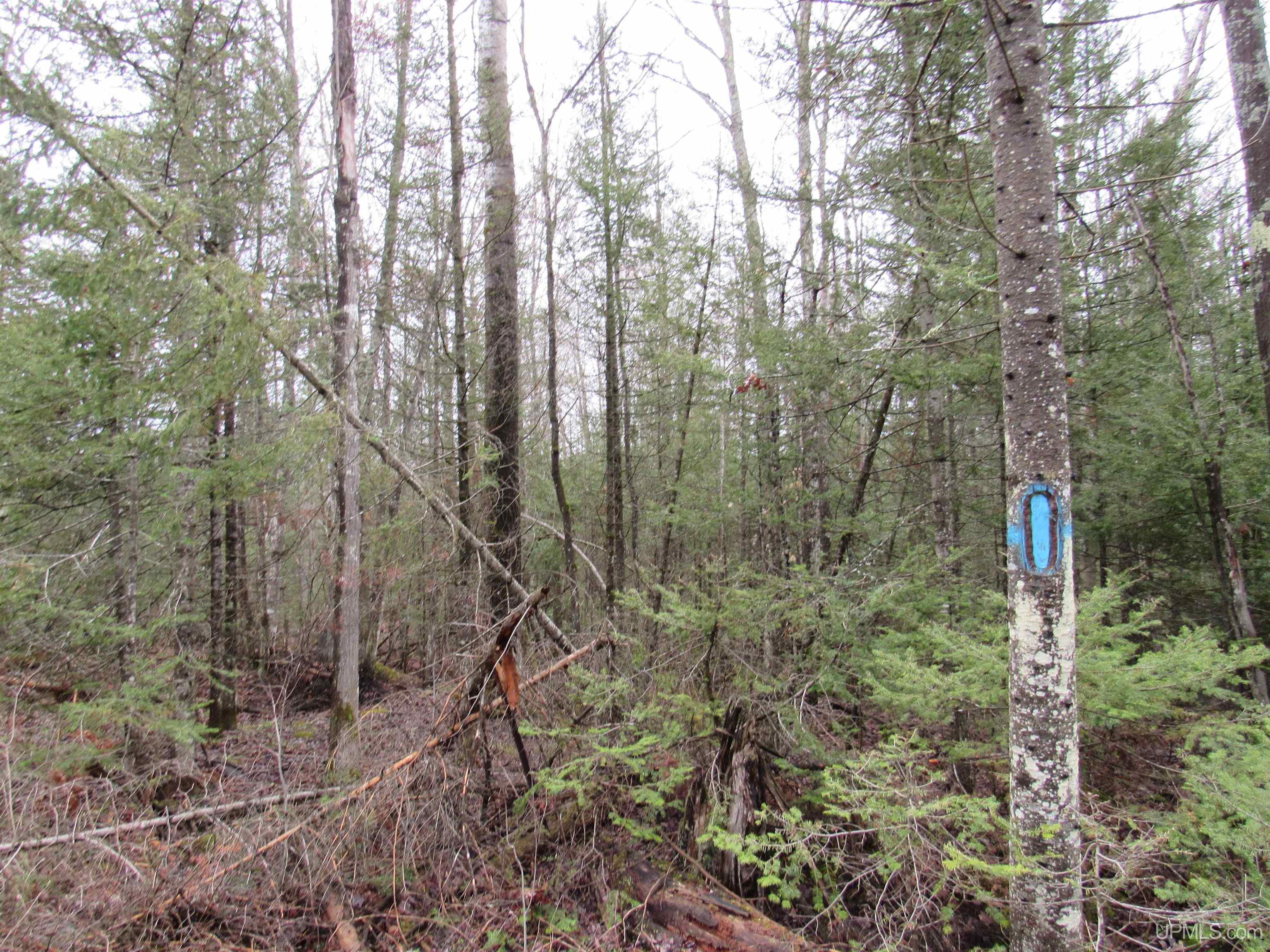 Tbd Deerton-sand Lake Road Property Photo 21