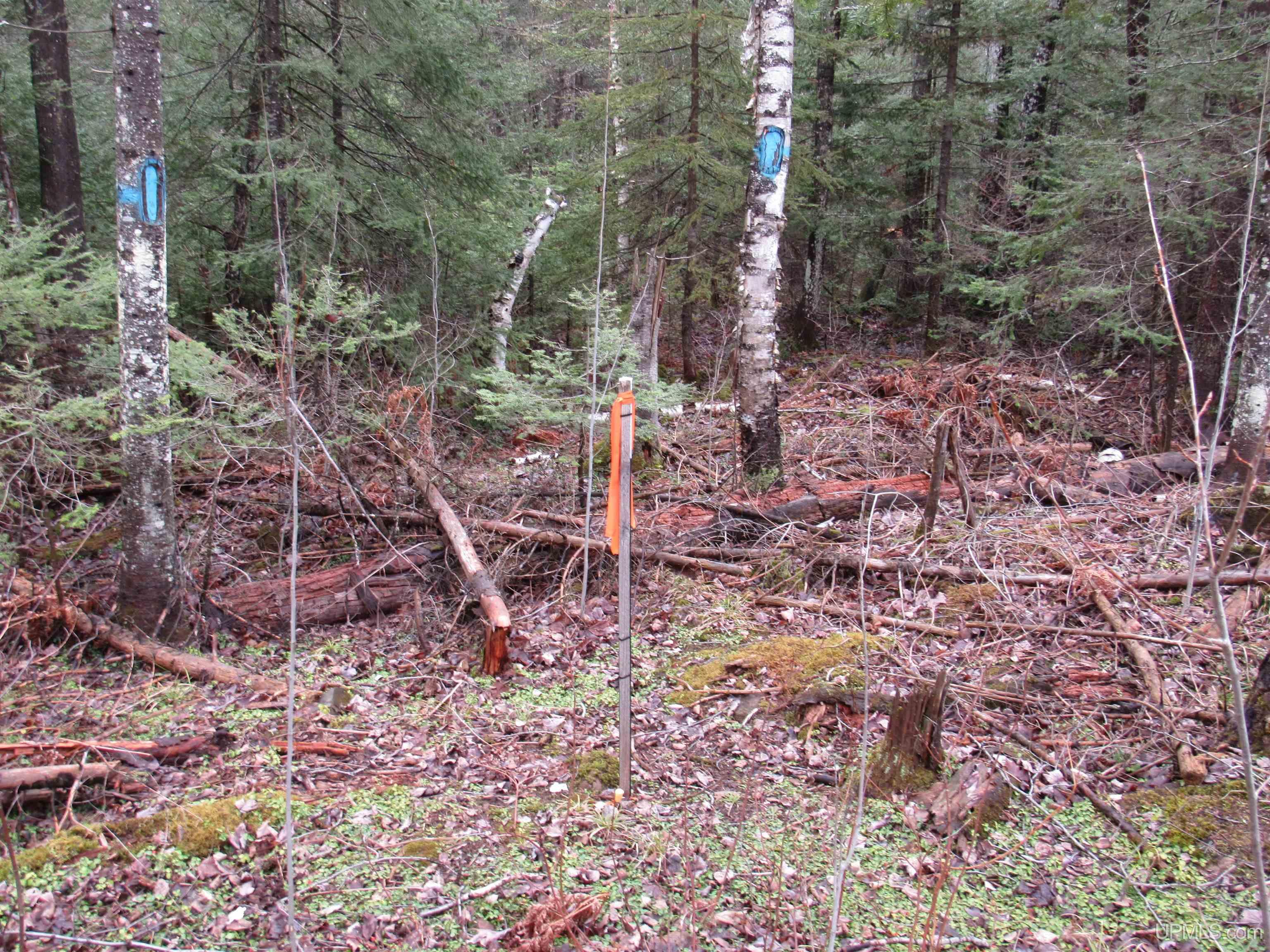 Tbd Deerton-sand Lake Road Property Photo 22