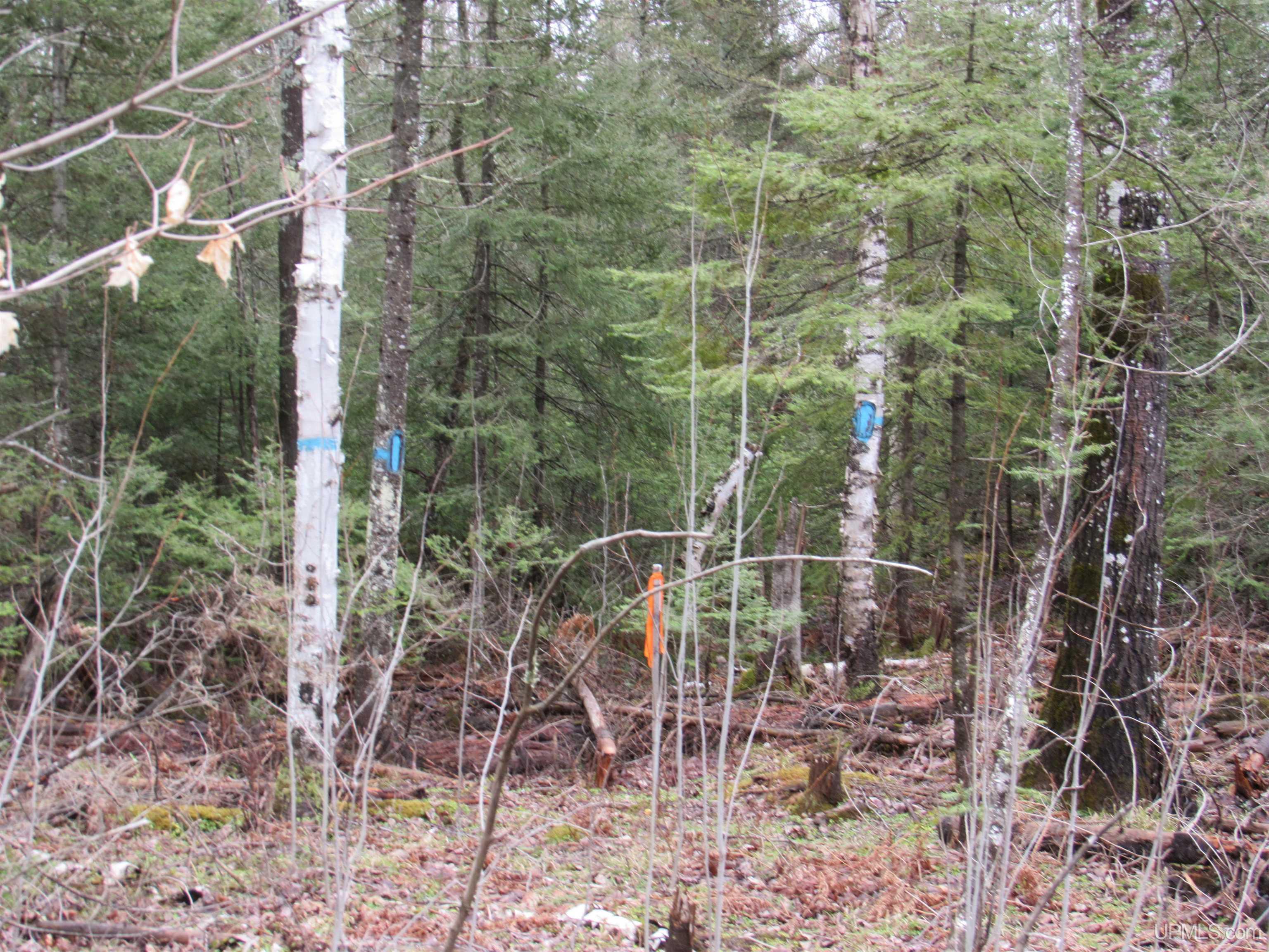 Tbd Deerton-sand Lake Road Property Photo 23