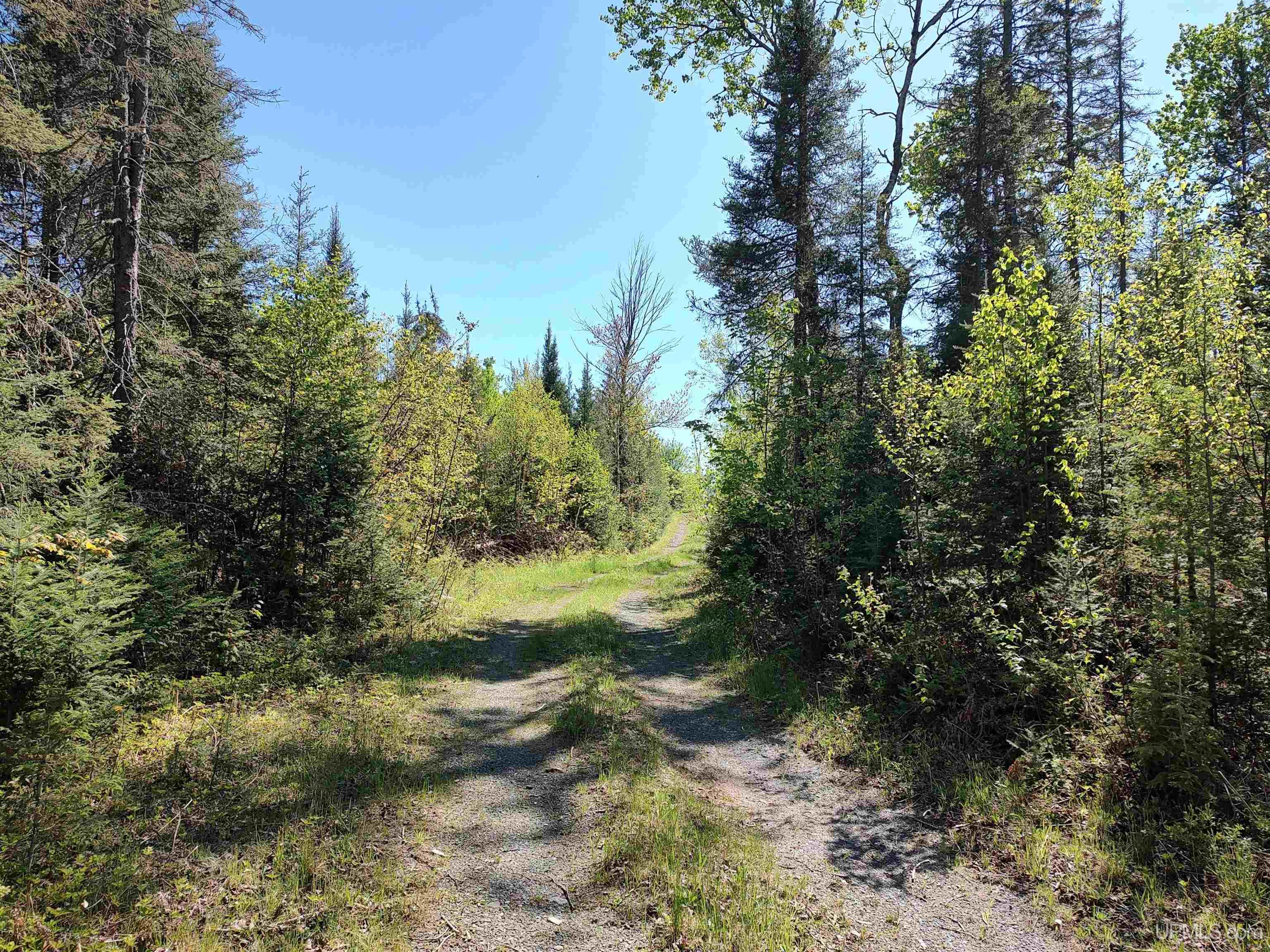 74 Acres Us41 Highway Property Photo 1