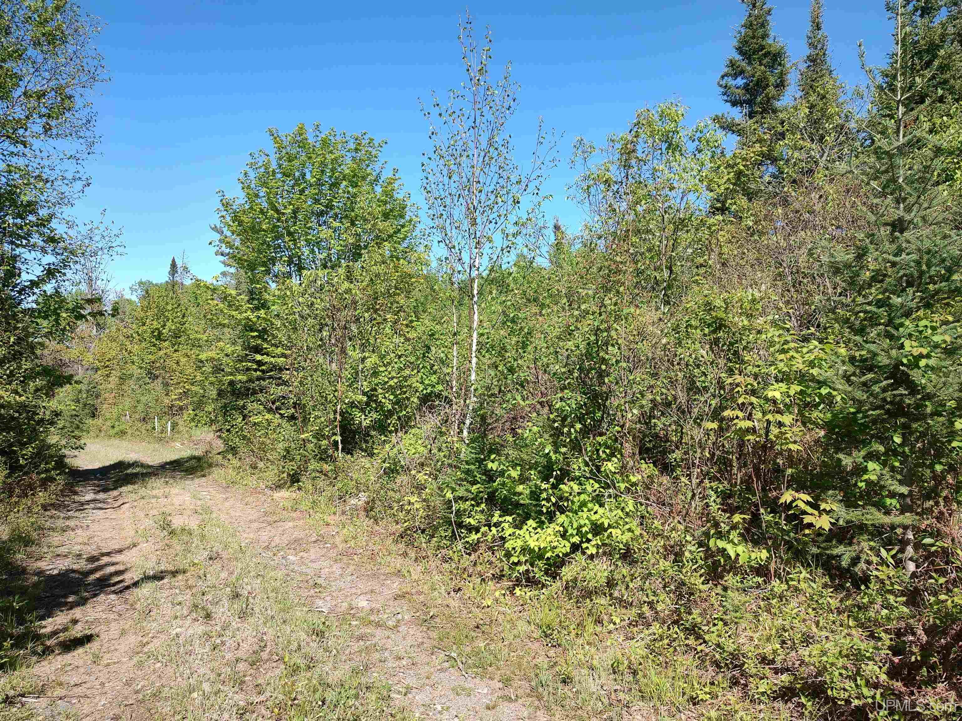 74 Acres Us41 Highway Property Photo 2