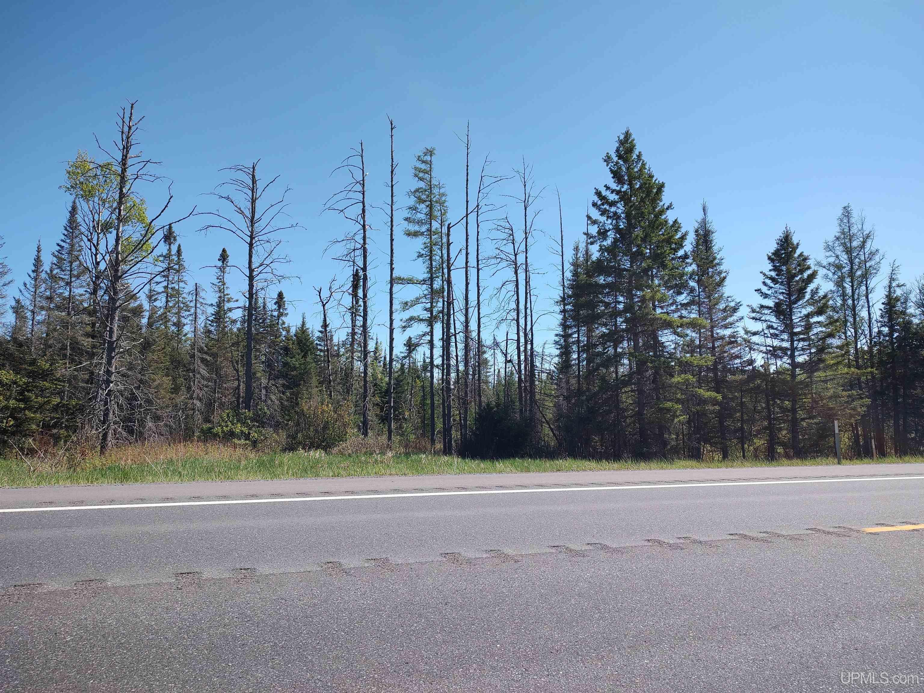 74 Acres Us41 Highway Property Photo 3