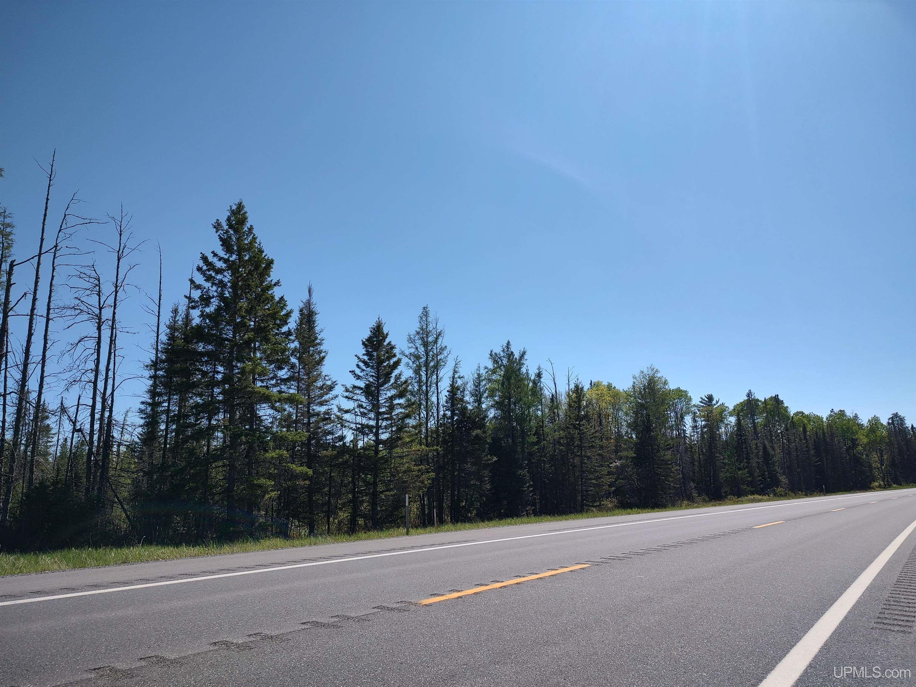 74 Acres Us41 Highway Property Photo 4