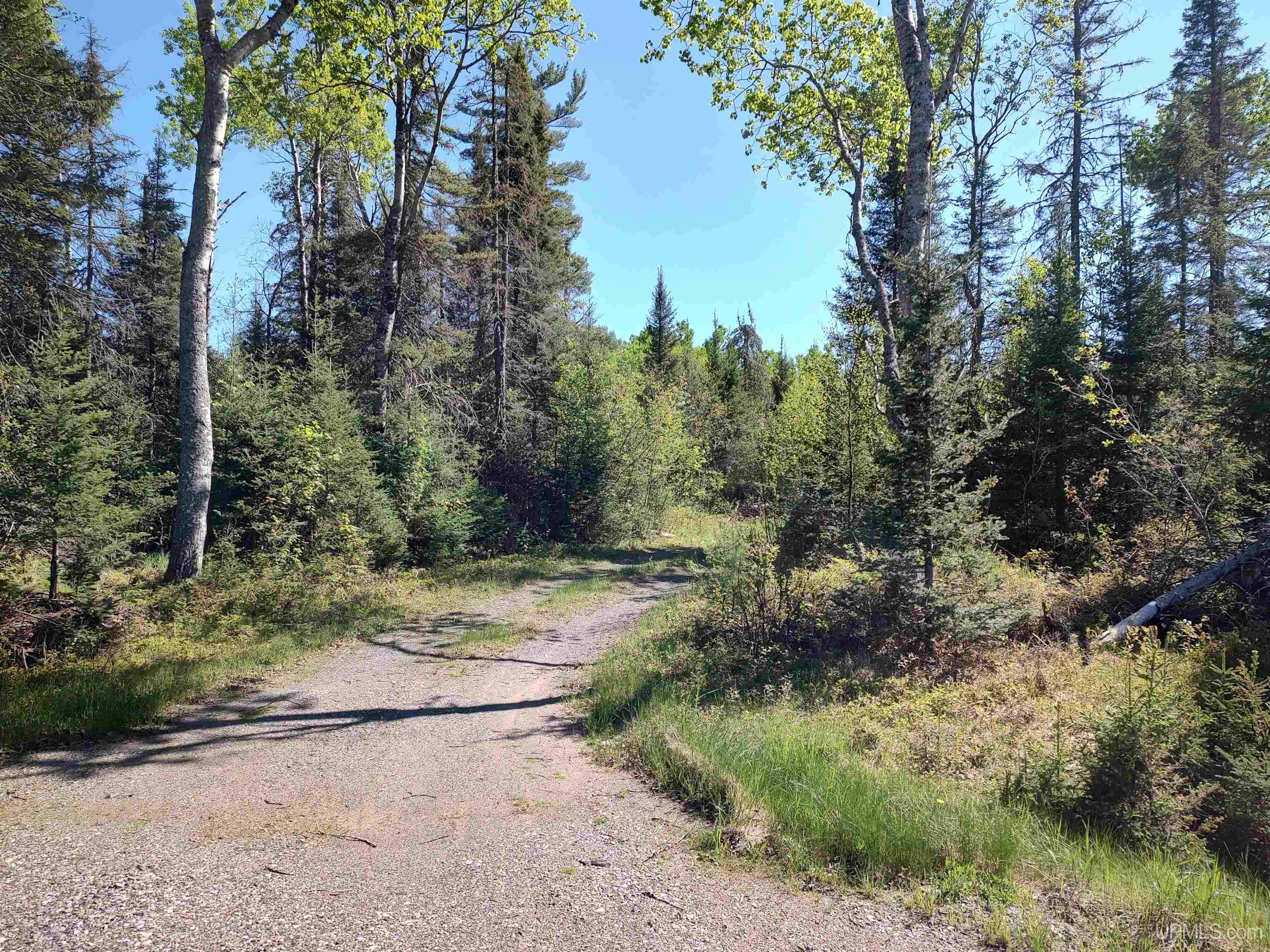 74 Acres Us41 Highway Property Photo 9