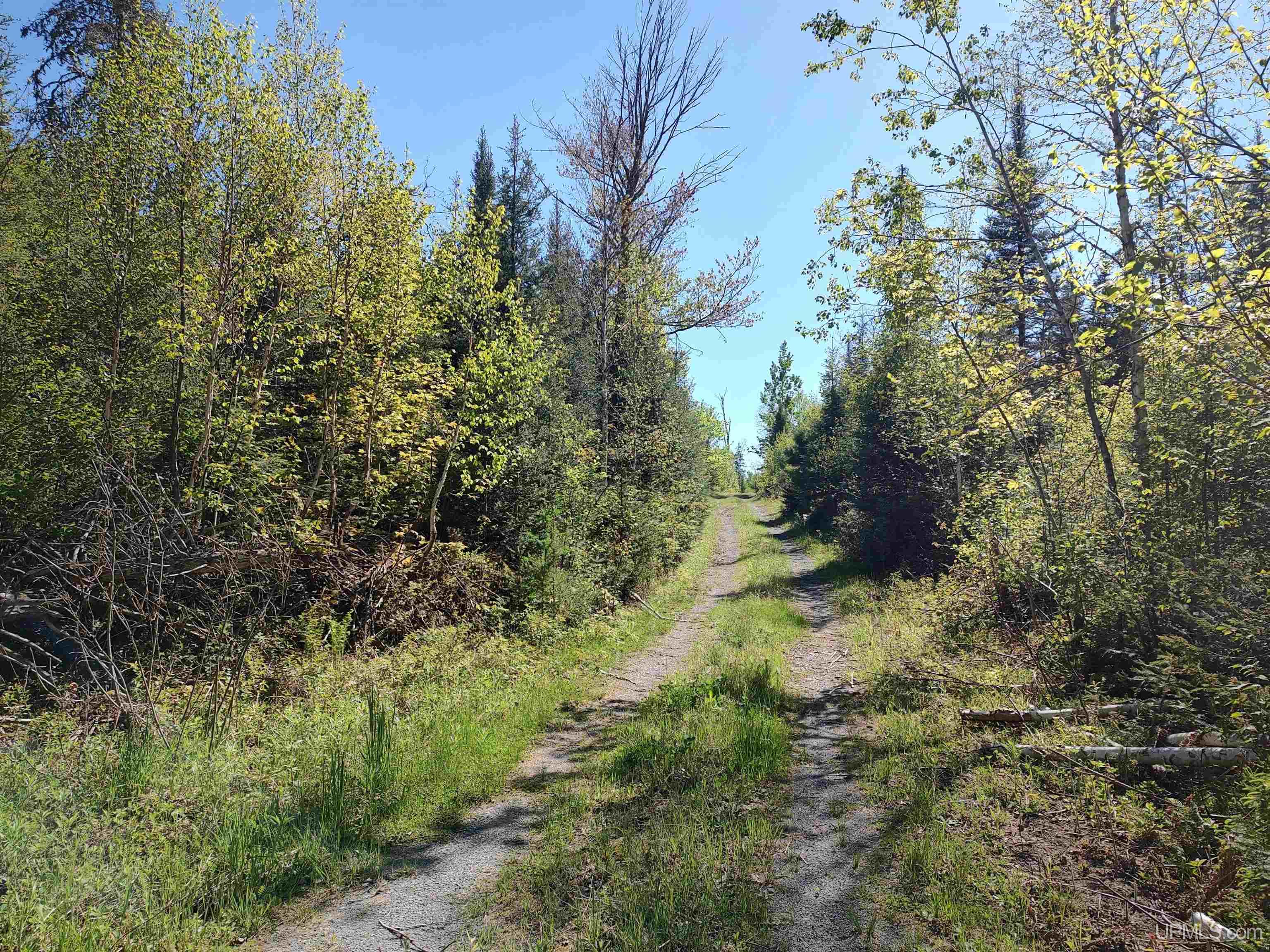 74 Acres Us41 Highway Property Photo 11