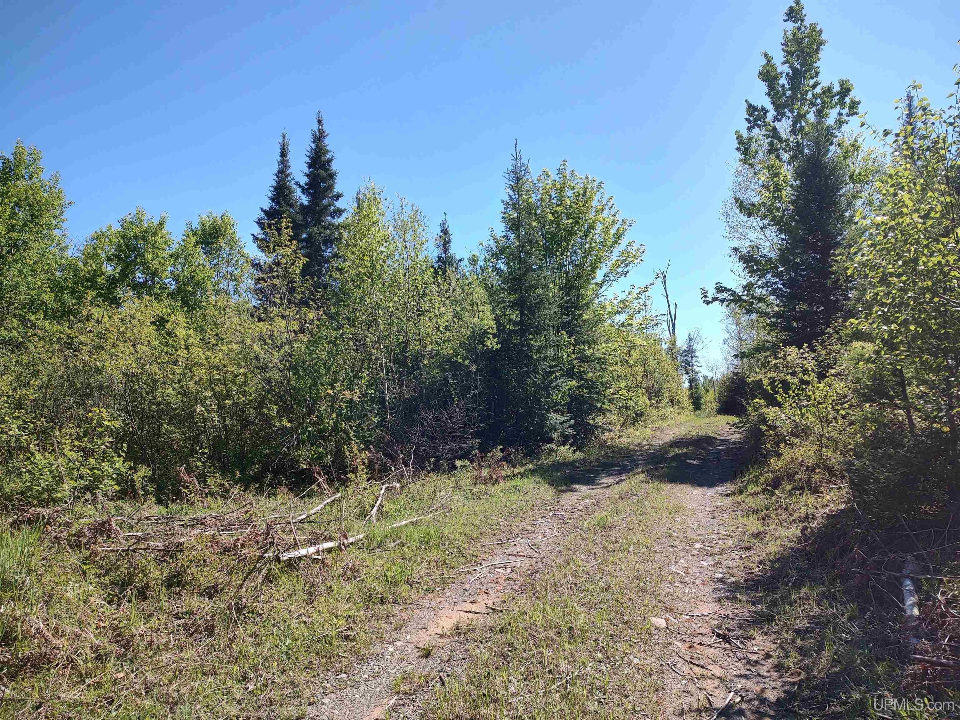 74 Acres Us41 Highway Property Photo 12