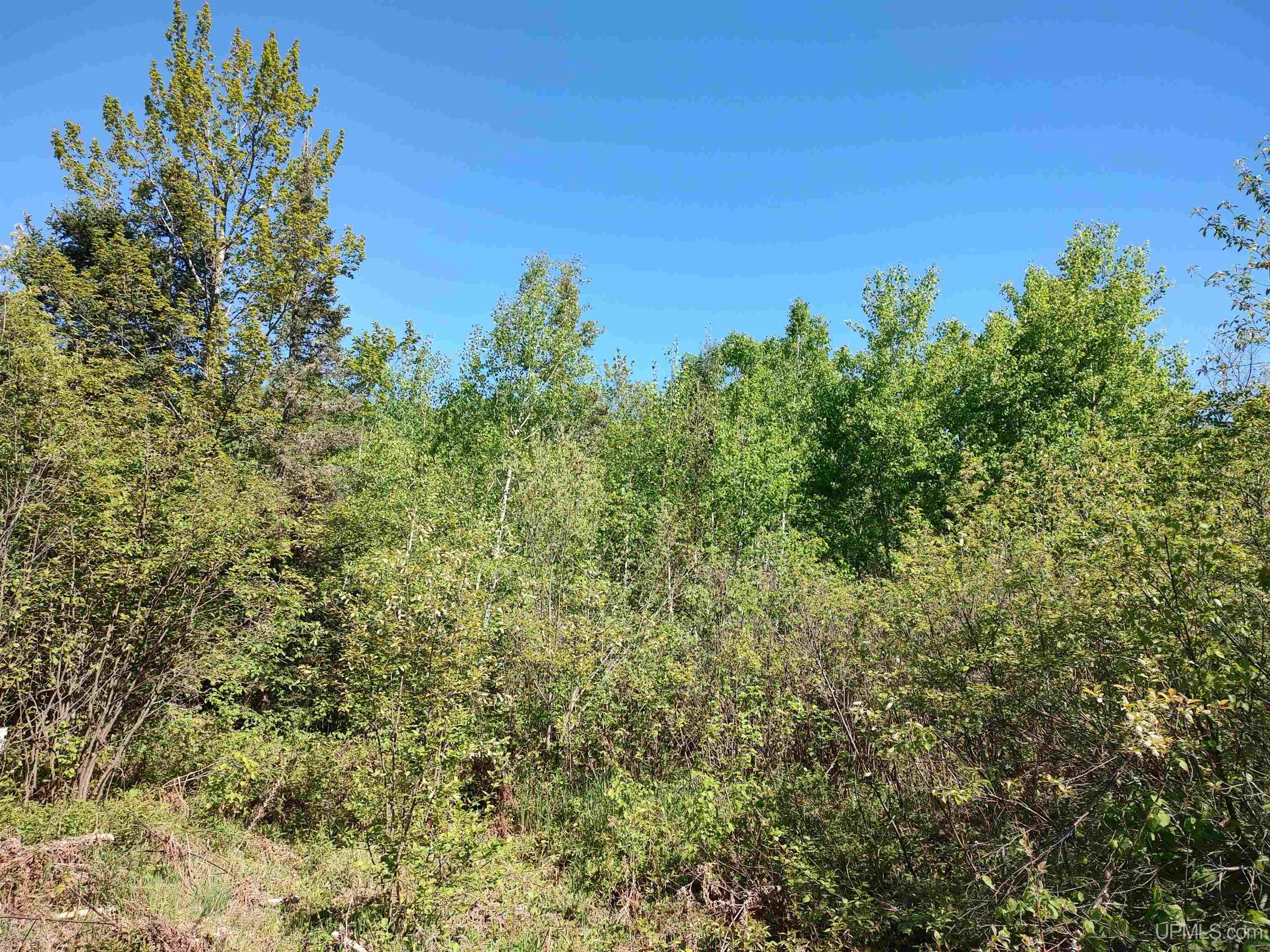 74 Acres Us41 Highway Property Photo 13