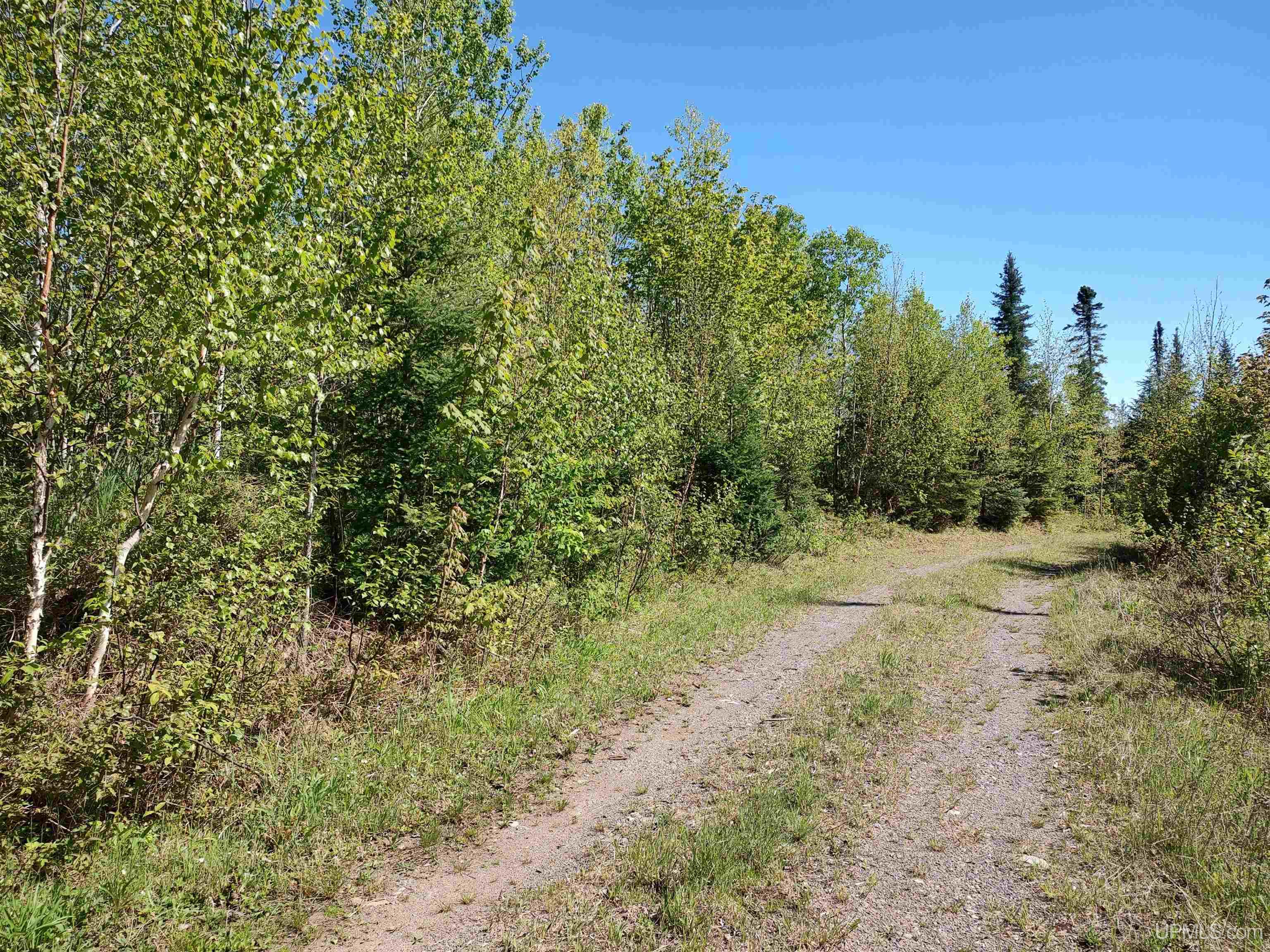 74 Acres Us41 Highway Property Photo 14