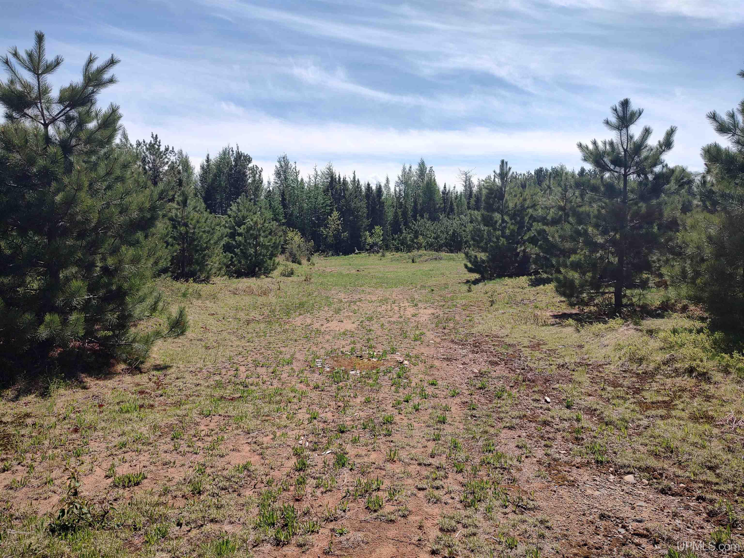 58 Acres Co Rd Fn Road Property Photo 1