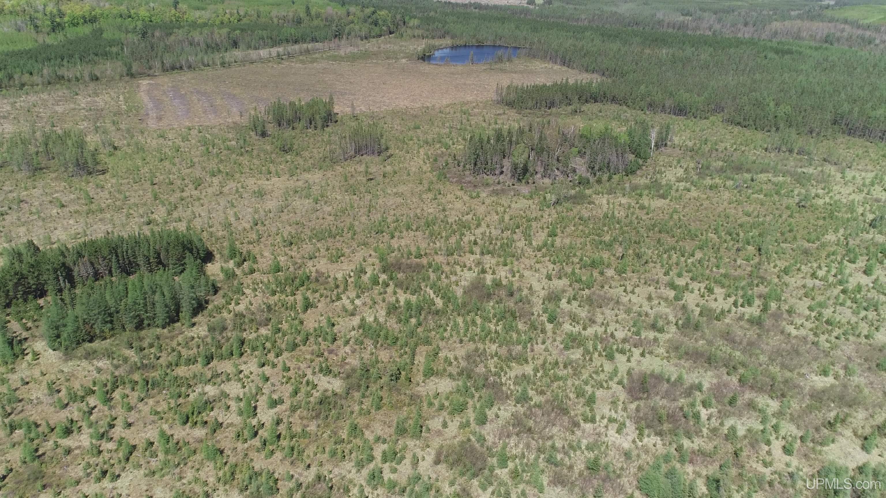 58 Acres Co Rd Fn Road Property Photo 2