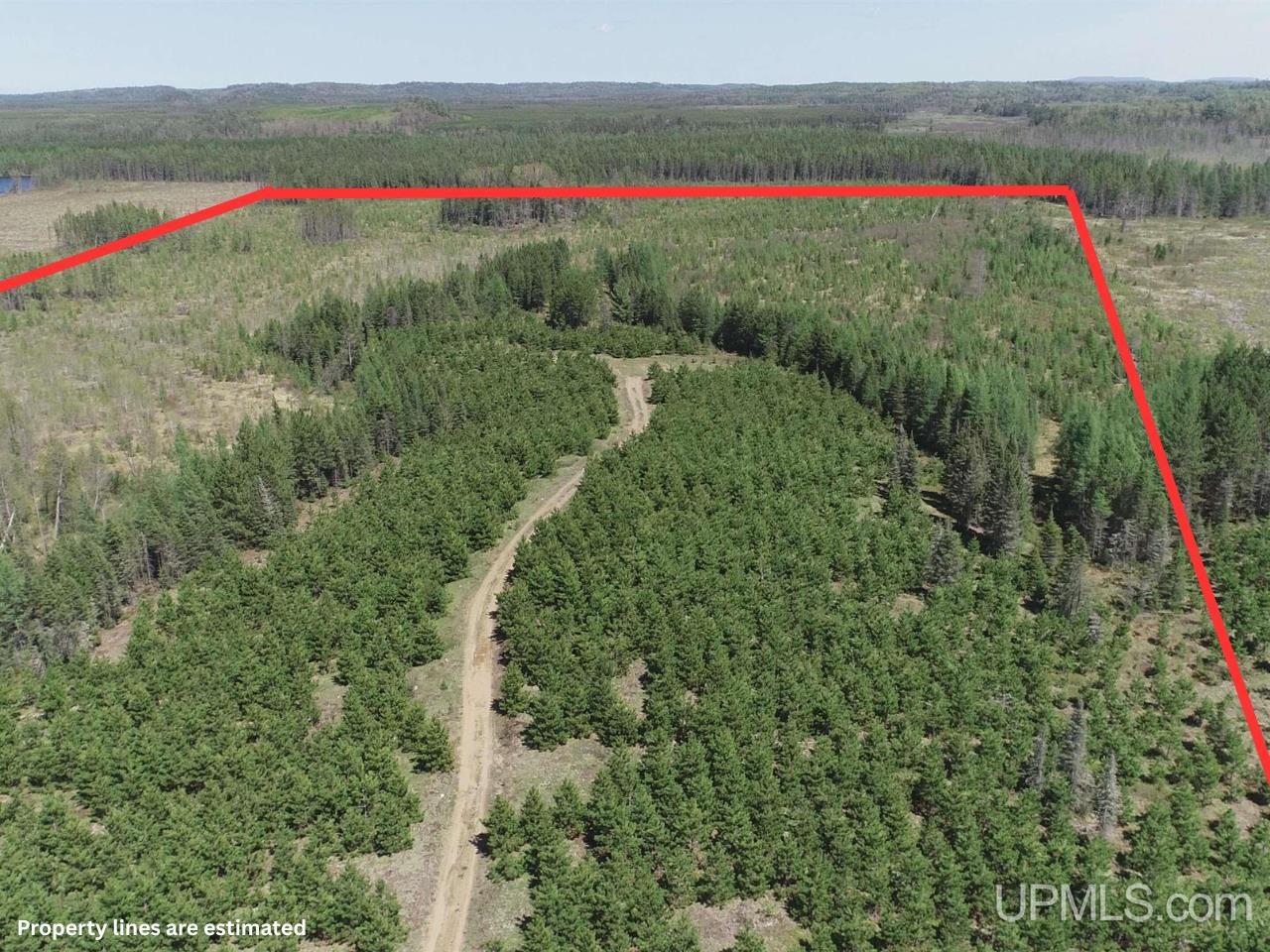 58 Acres Co Rd Fn Road Property Photo 3