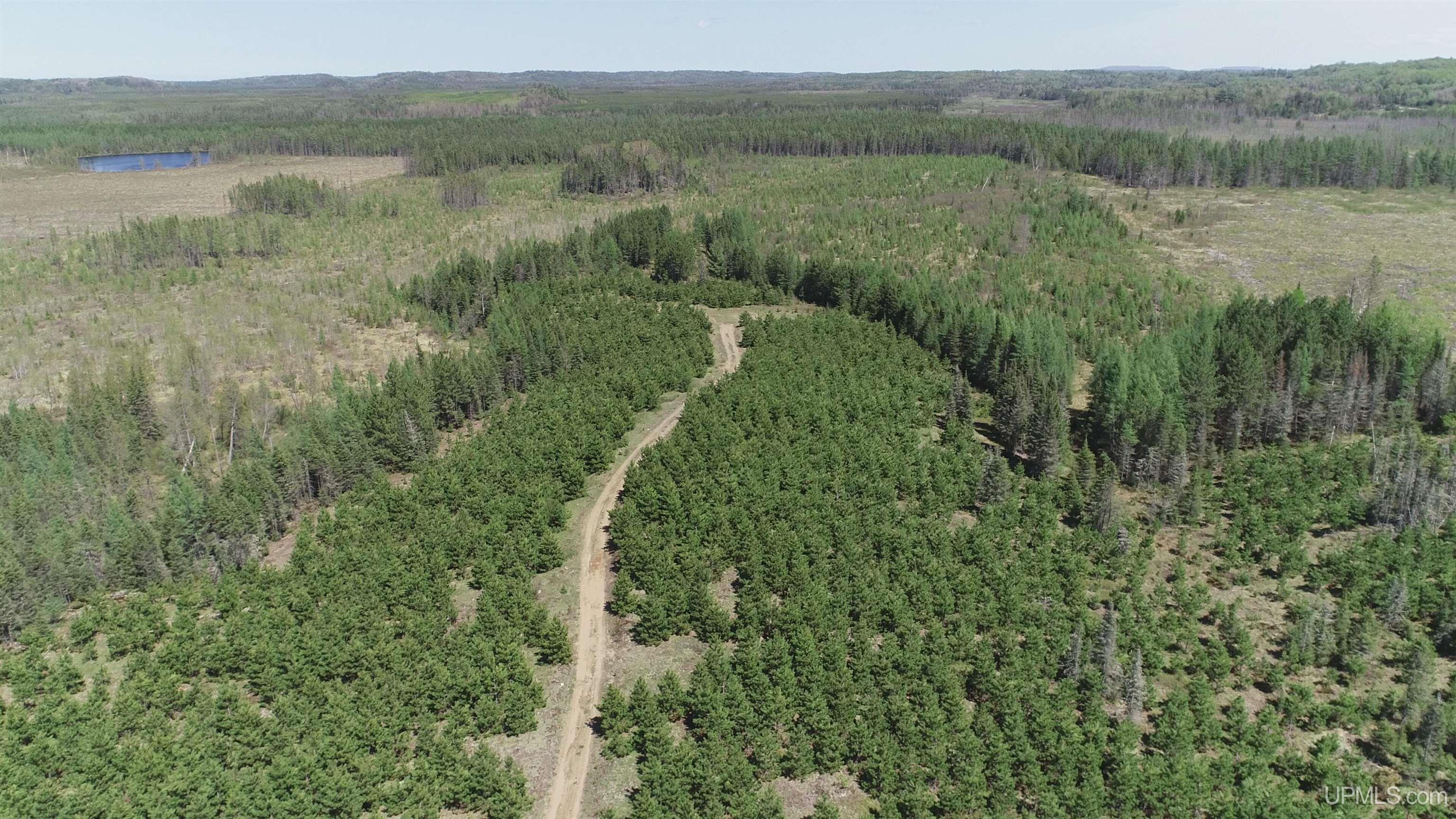 58 Acres Co Rd Fn Road Property Photo 4