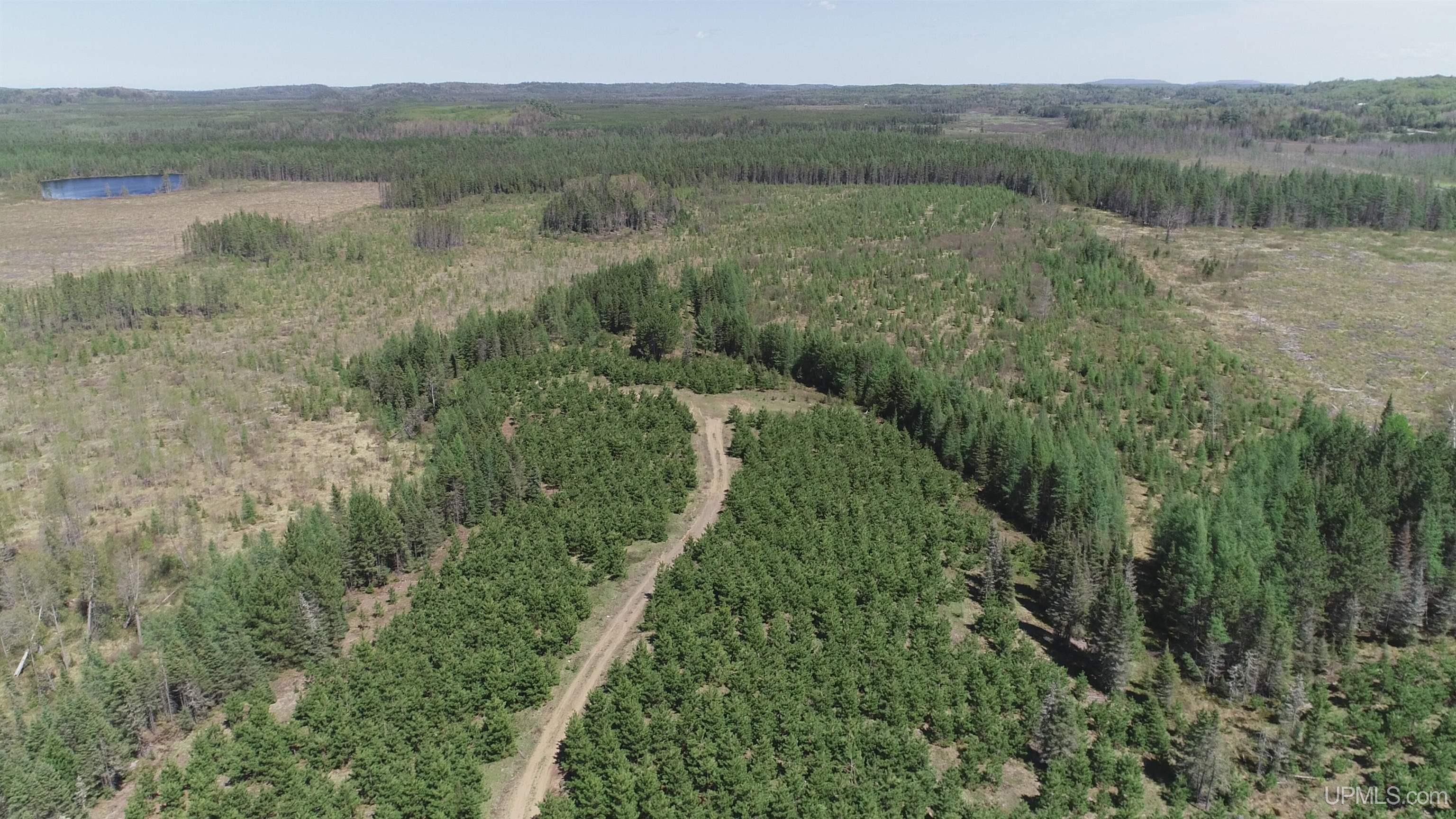 58 Acres Co Rd Fn Road Property Photo 5