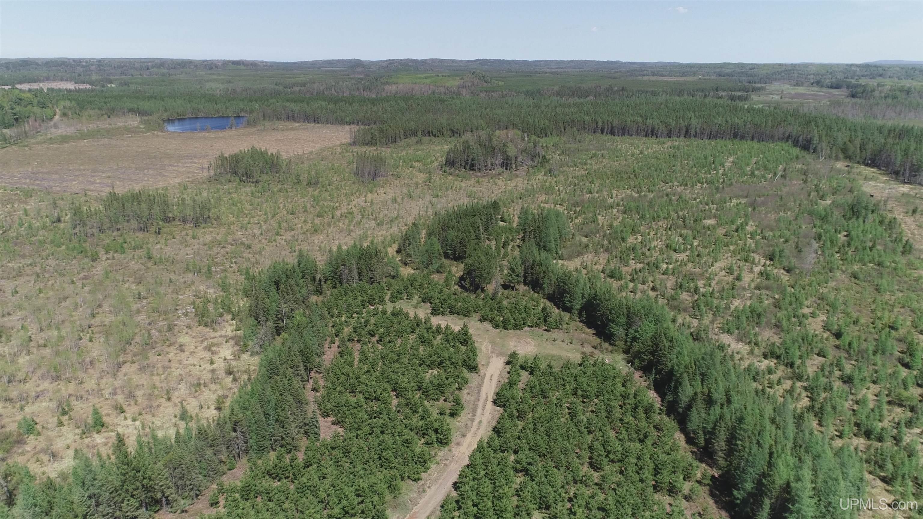 58 Acres Co Rd Fn Road Property Photo 6