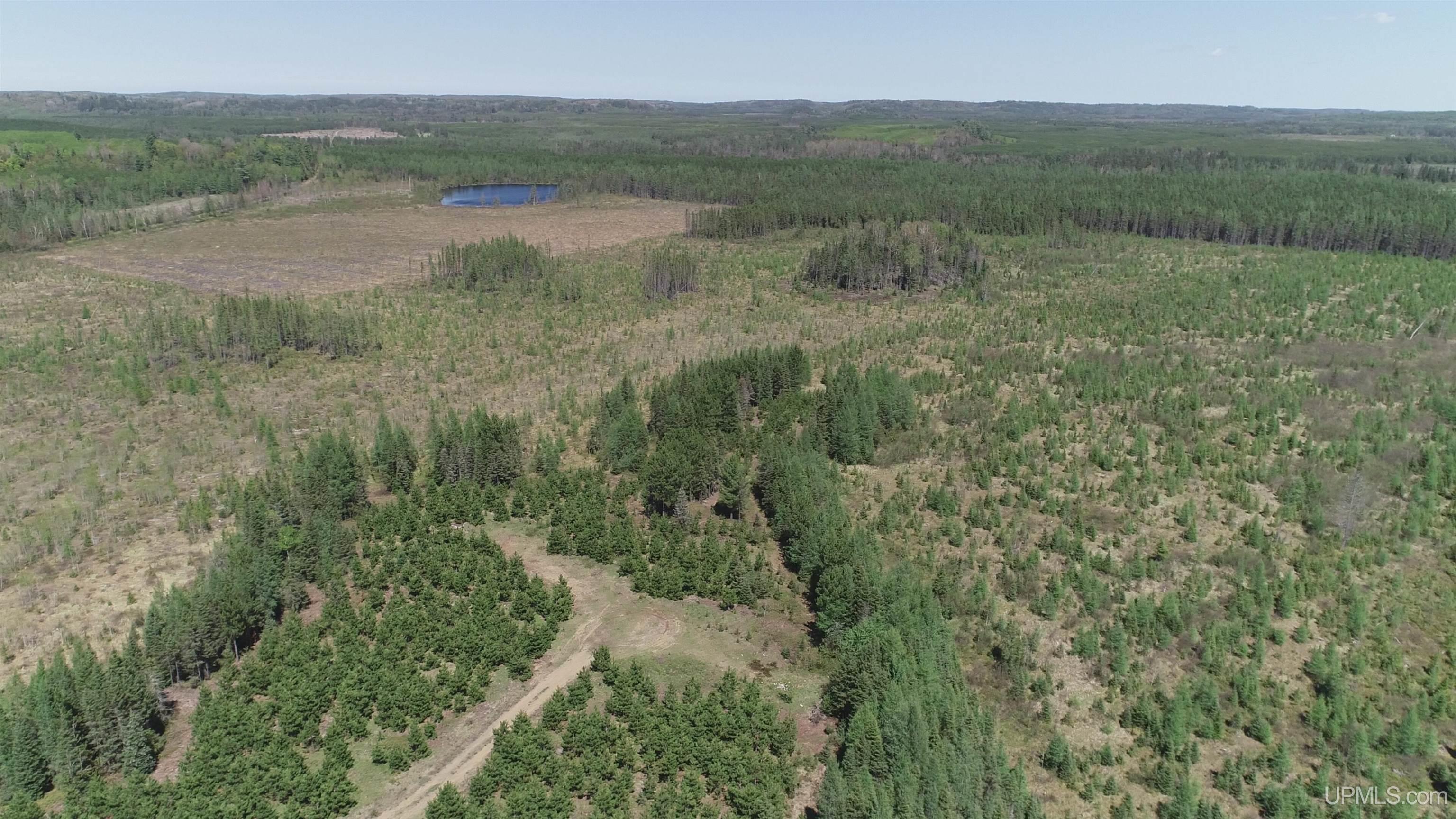 58 Acres Co Rd Fn Road Property Photo 7