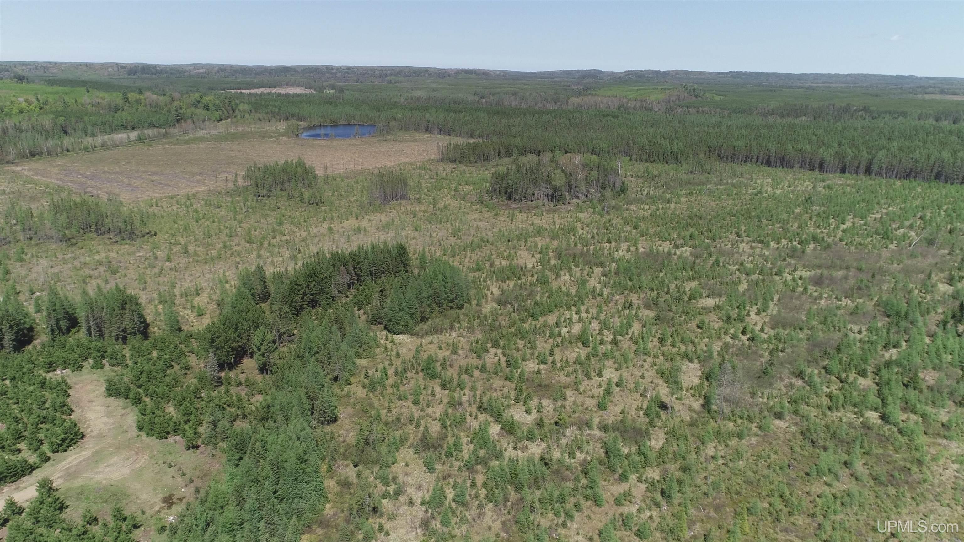 58 Acres Co Rd Fn Road Property Photo 8
