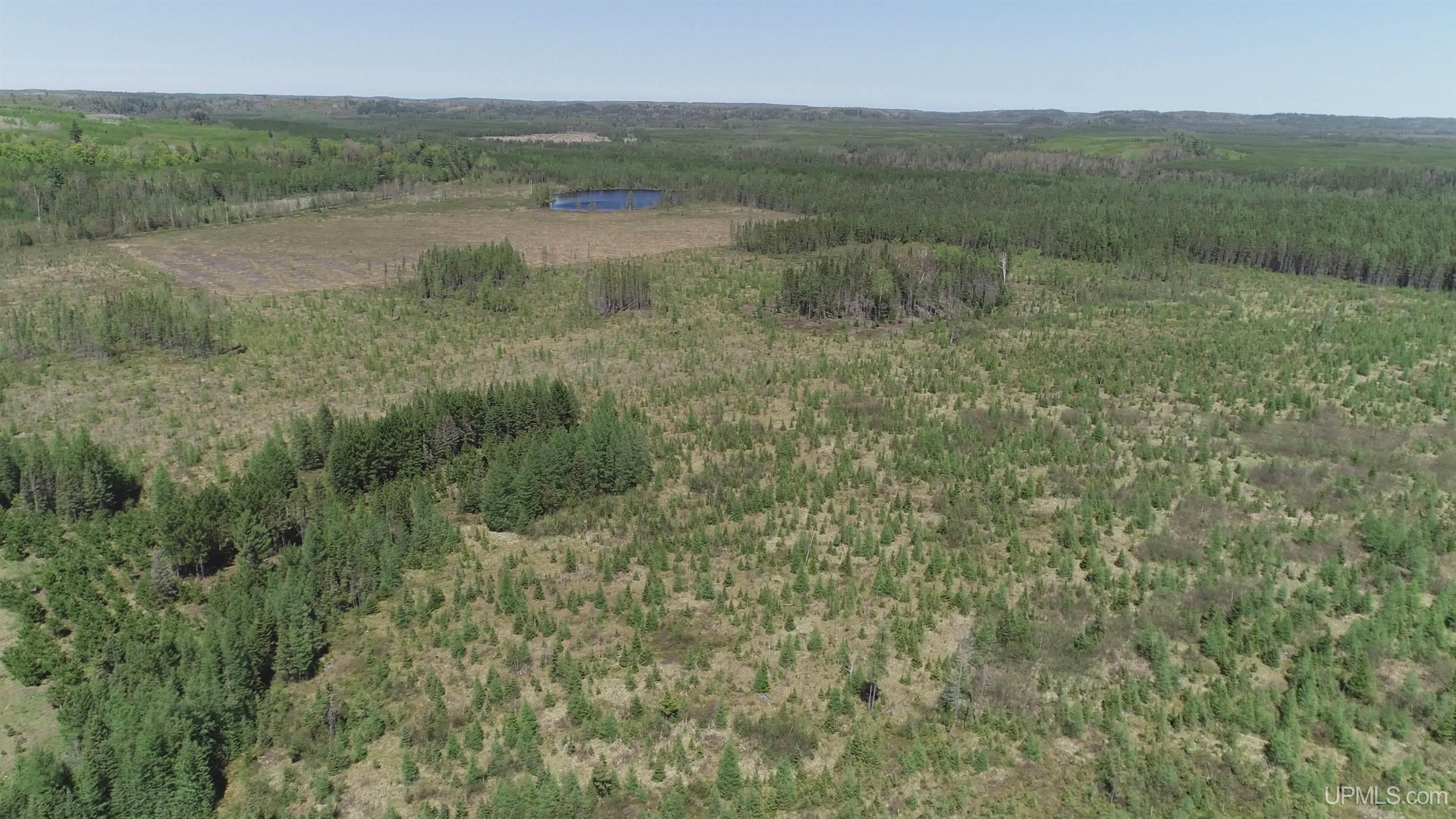 58 Acres Co Rd Fn Road Property Photo 9