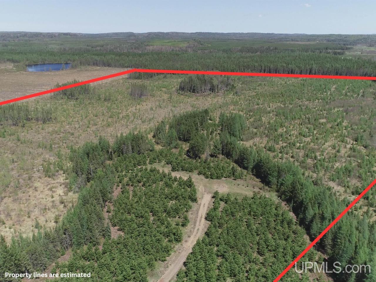 58 Acres Co Rd Fn Road Property Photo 10