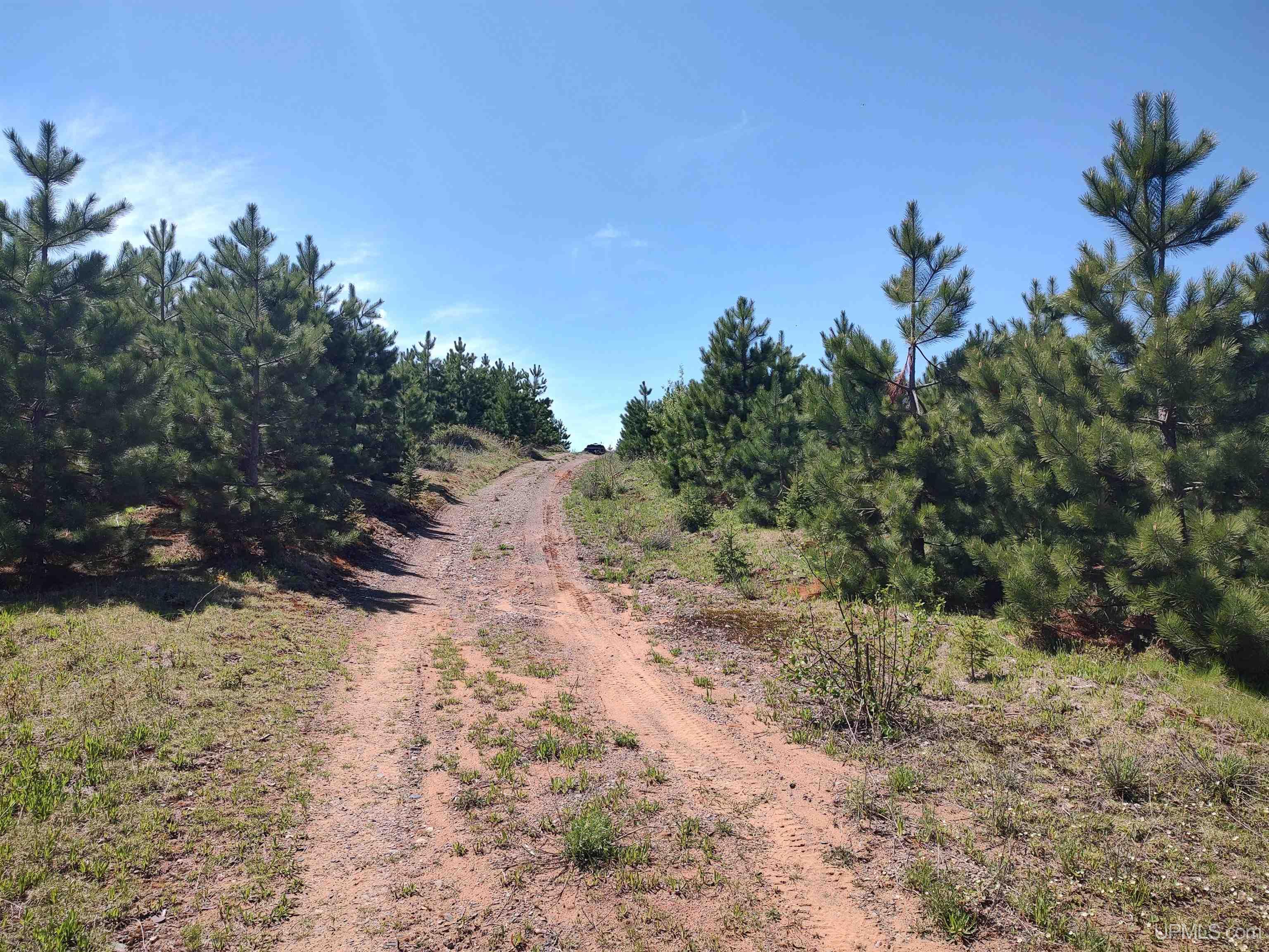 58 Acres Co Rd Fn Road Property Photo 11