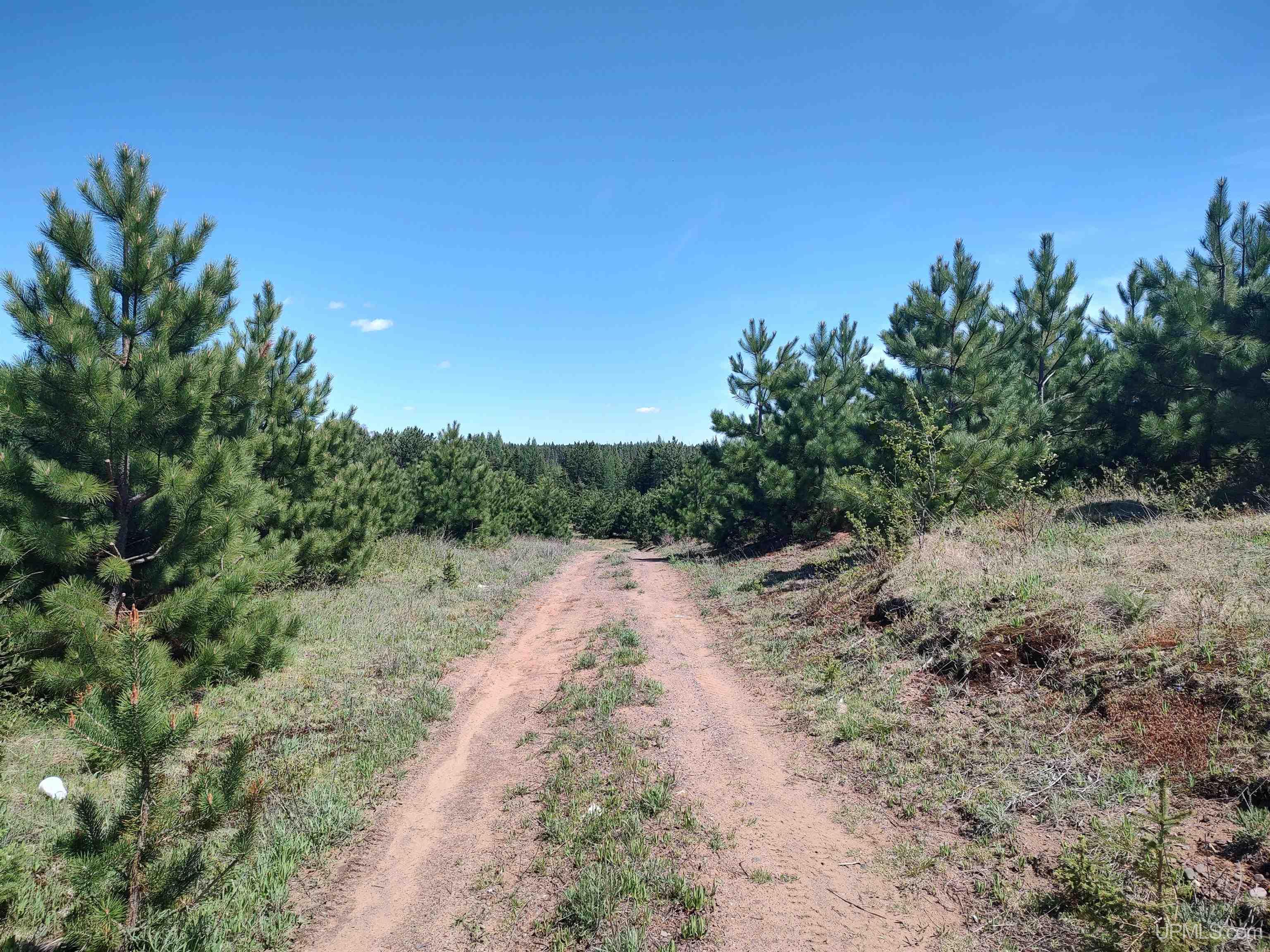 58 Acres Co Rd Fn Road Property Photo 13