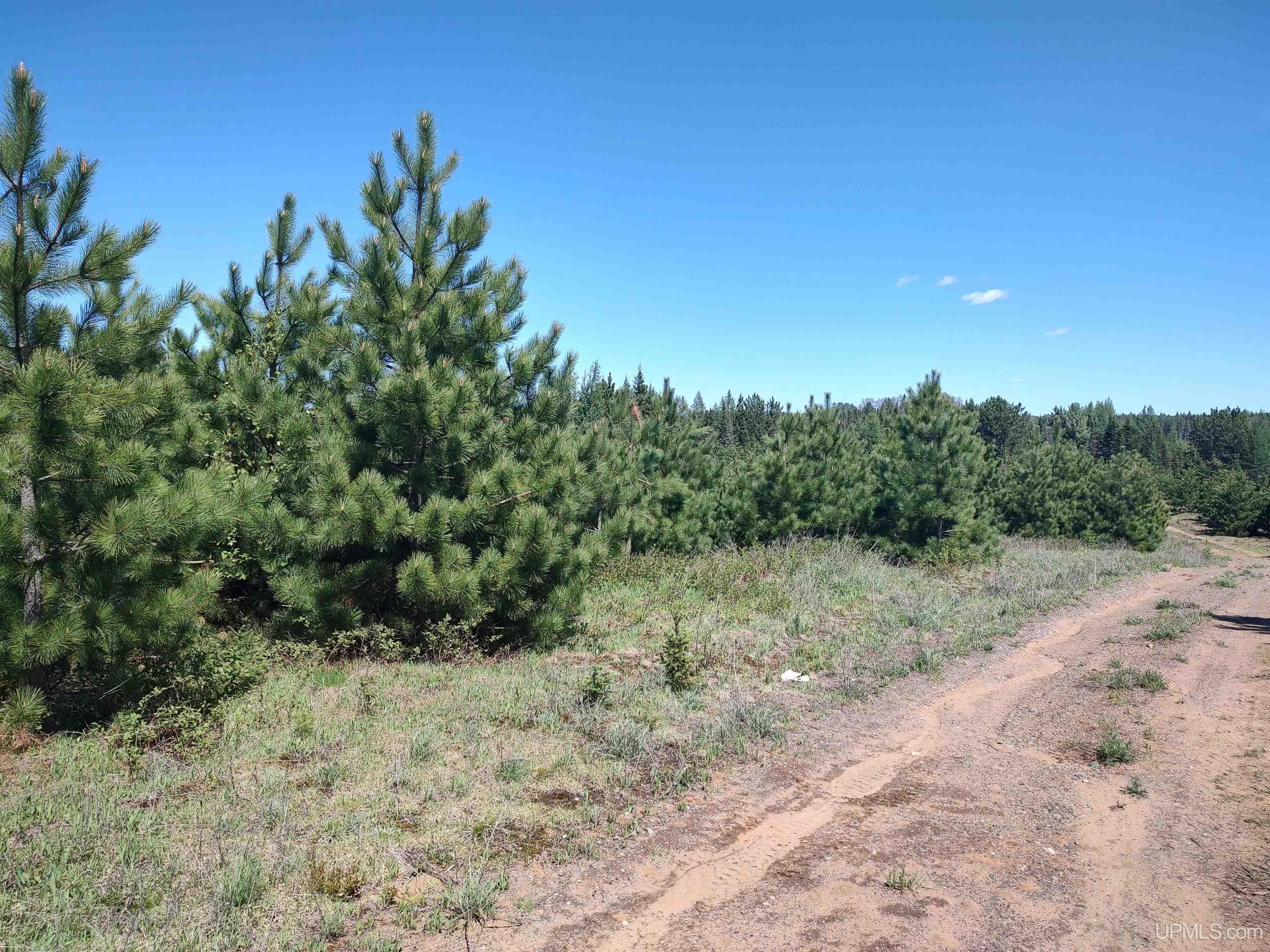 58 Acres Co Rd Fn Road Property Photo 14