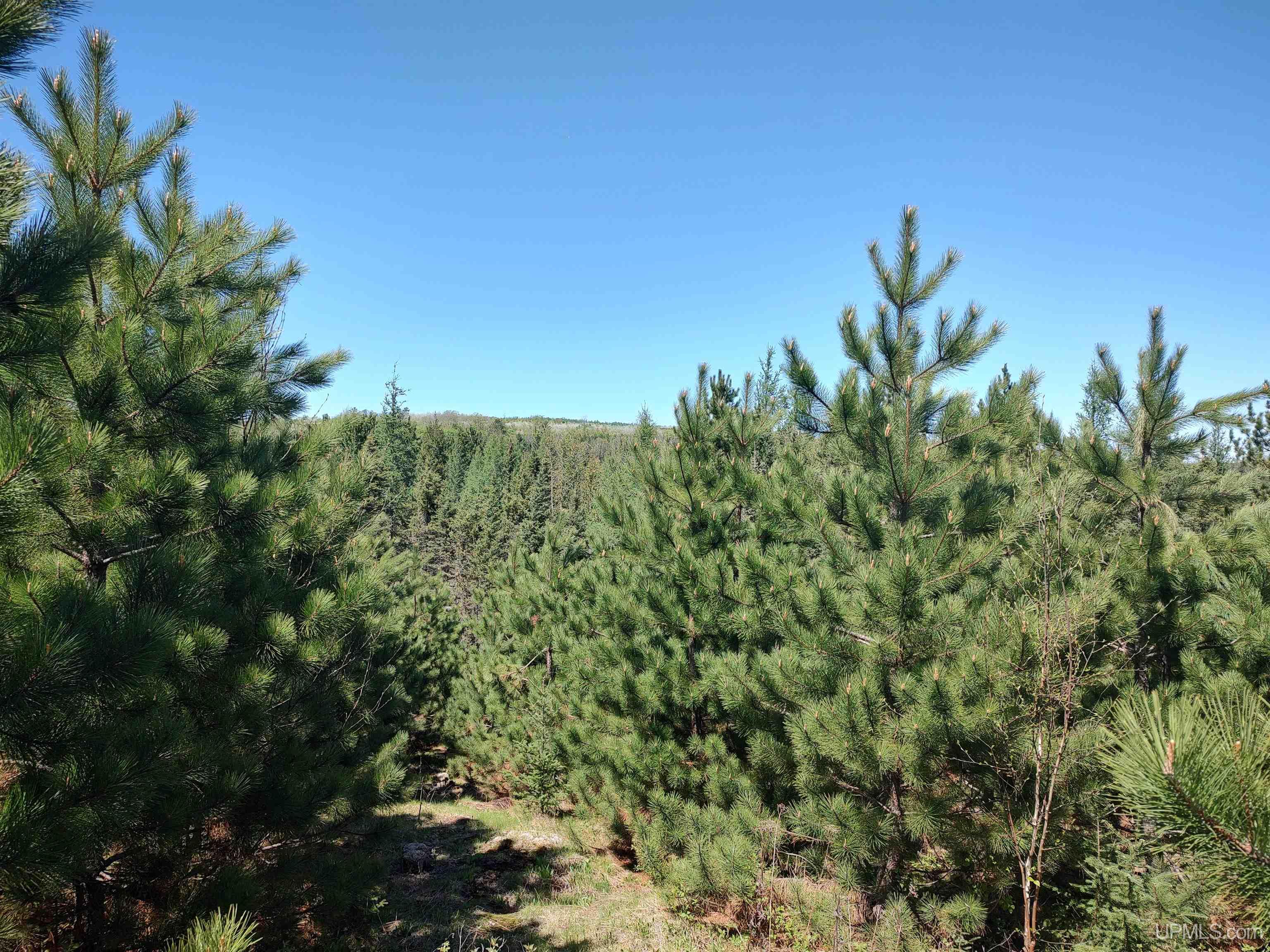 58 Acres Co Rd Fn Road Property Photo 15