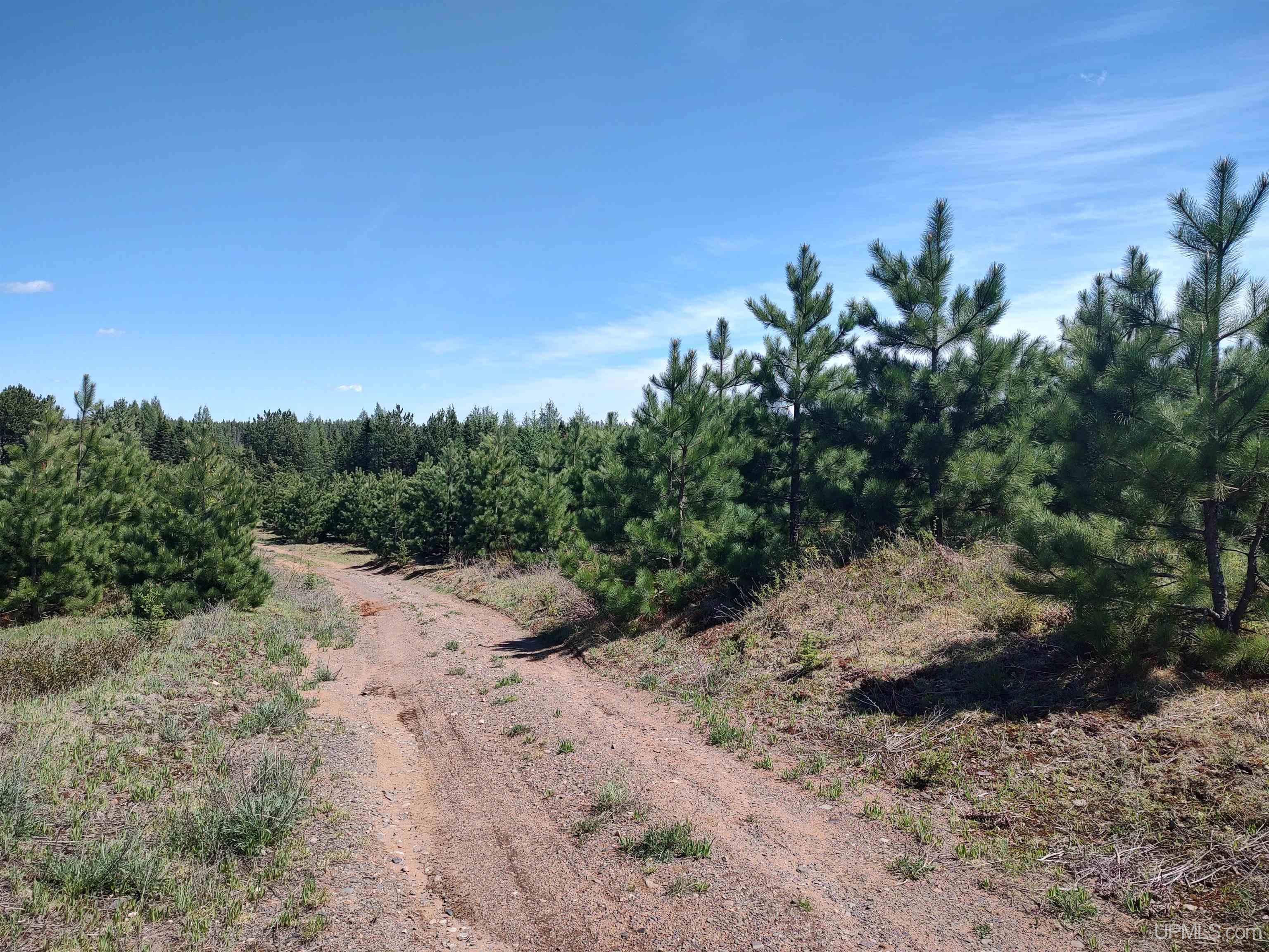 58 Acres Co Rd Fn Road Property Photo 16