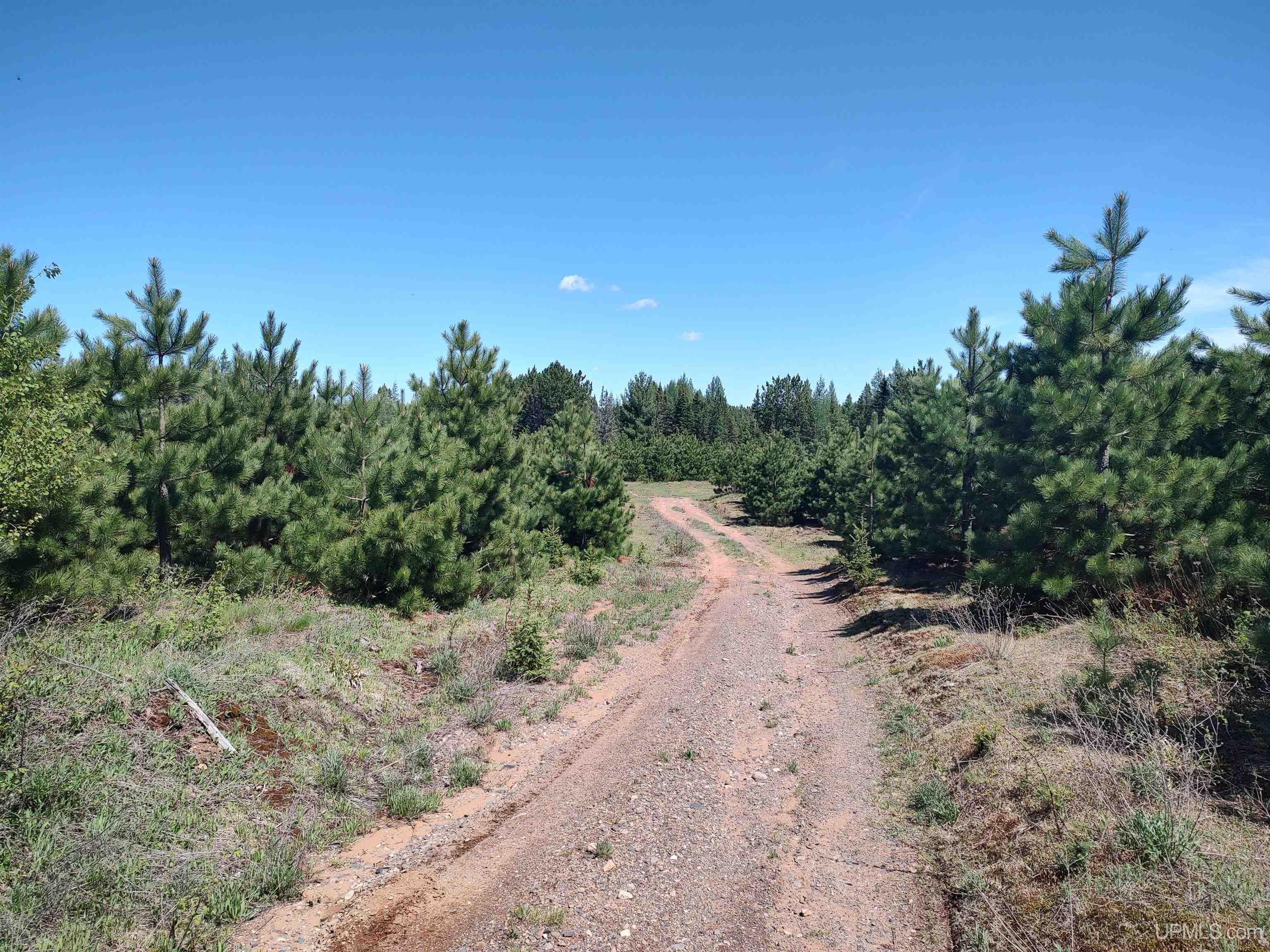 58 Acres Co Rd Fn Road Property Photo 17