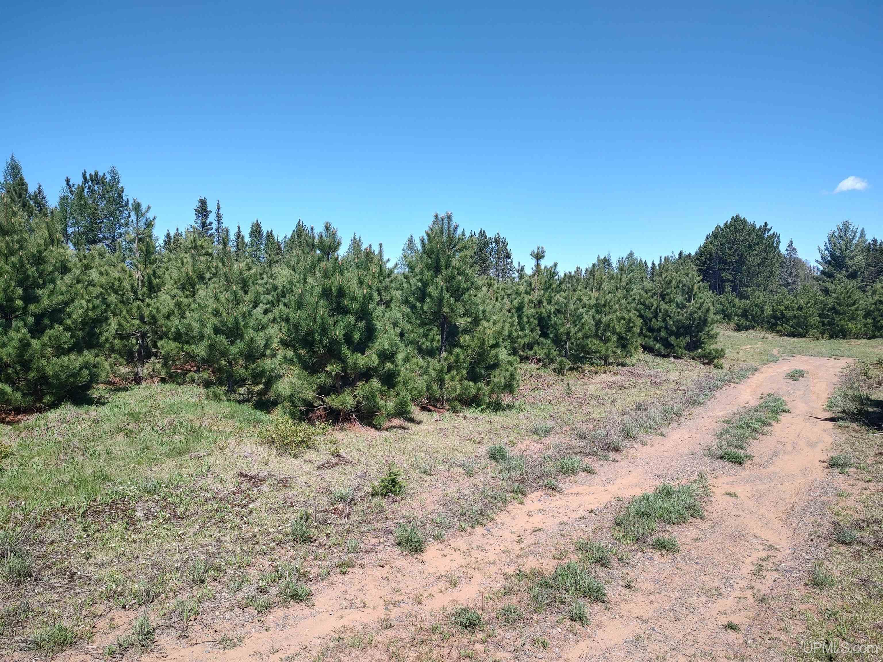 58 Acres Co Rd Fn Road Property Photo 18