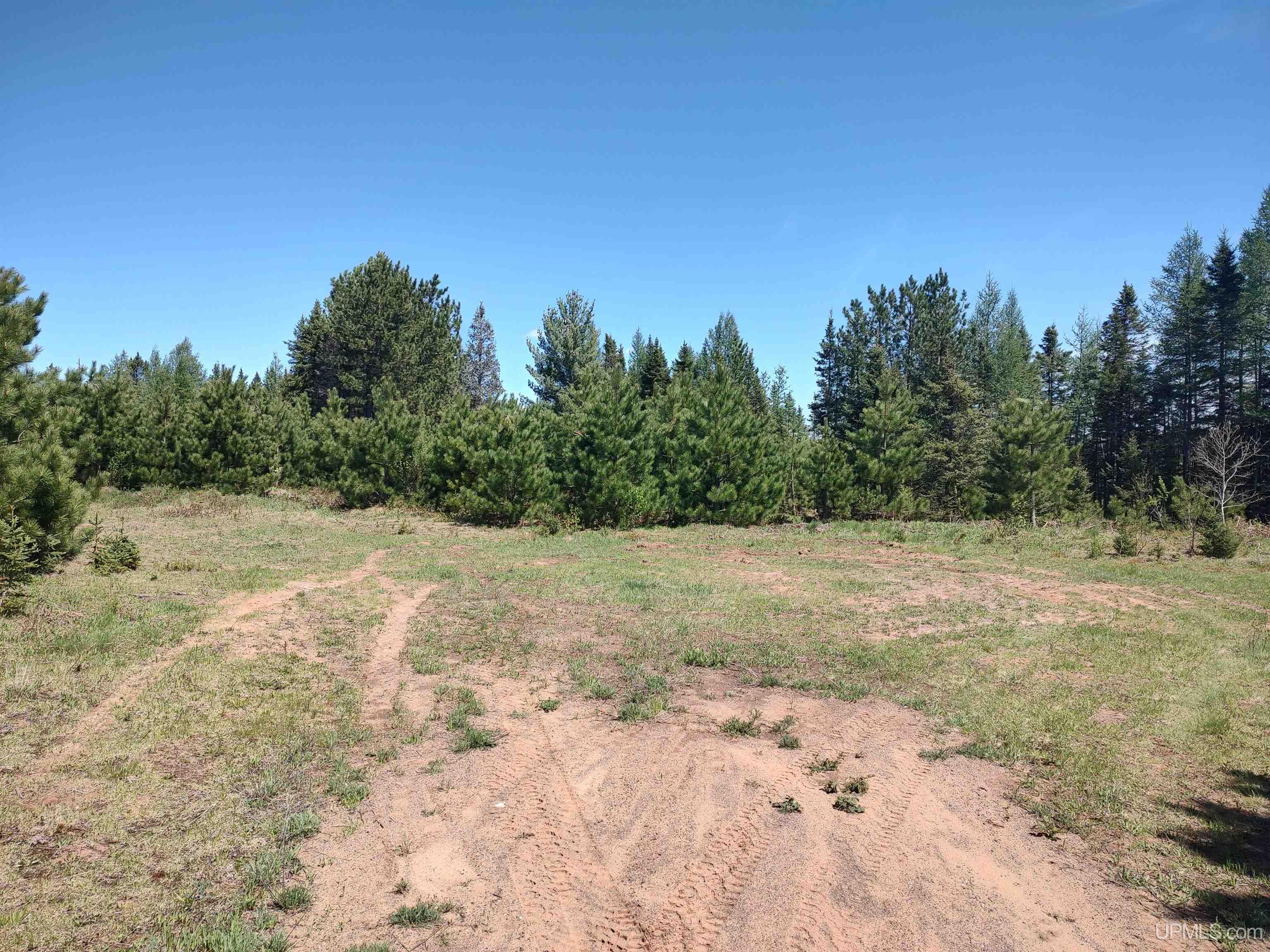 58 Acres Co Rd Fn Road Property Photo 19